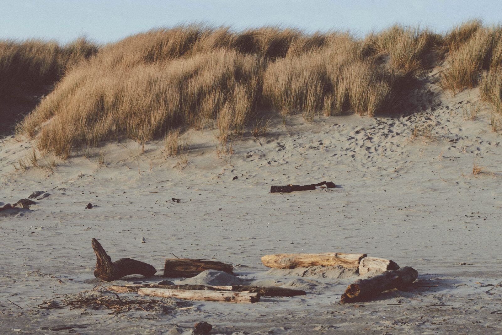 Nikon D5200 sample photo. Driftwood, sand, landscape, desert photography
