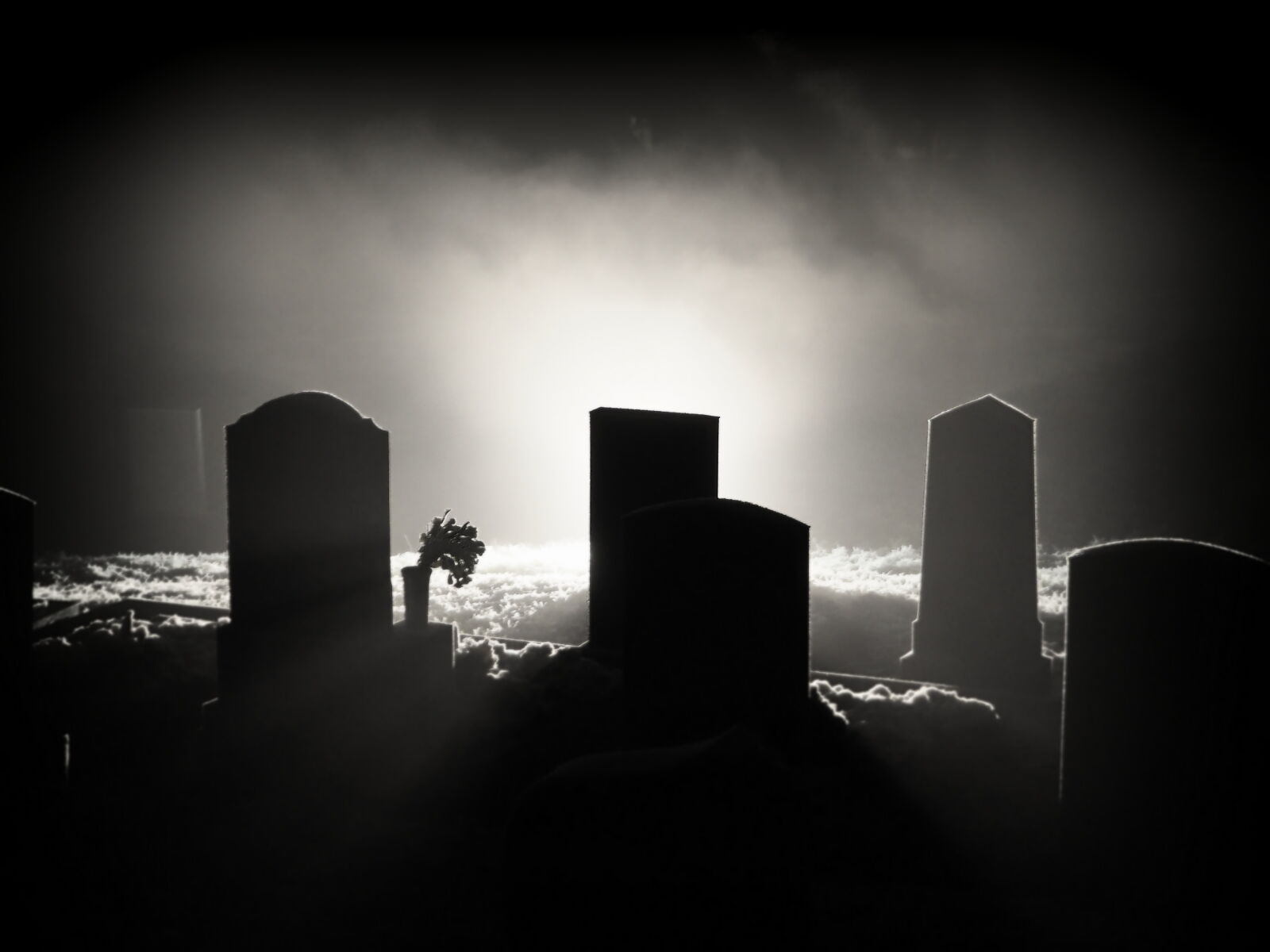 Olympus OM-D E-M10 sample photo. Cemetery, creepy, fog, monochrome photography