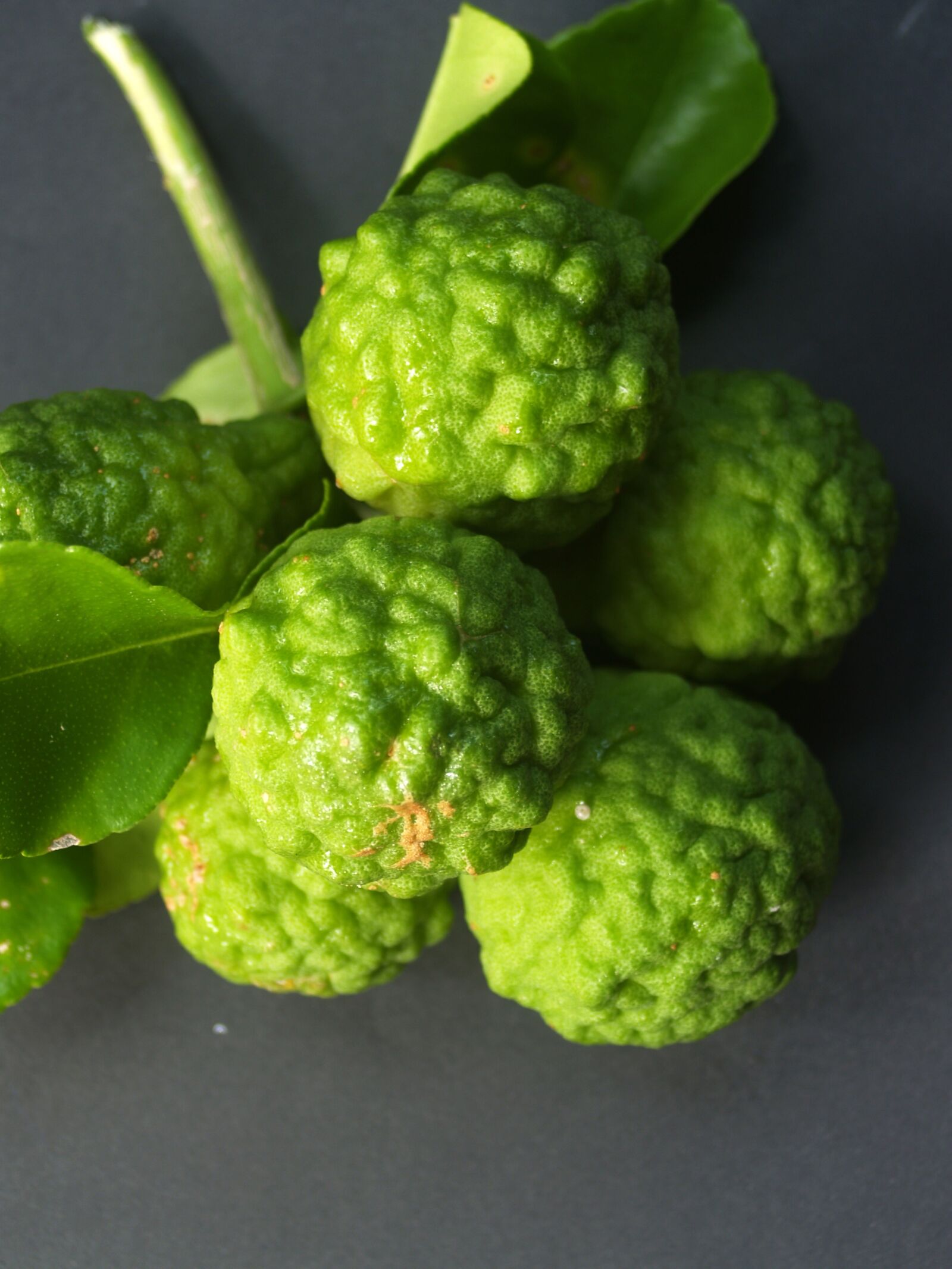 Olympus E-300 (EVOLT E-300) sample photo. Bergamot, fruit, leaf photography
