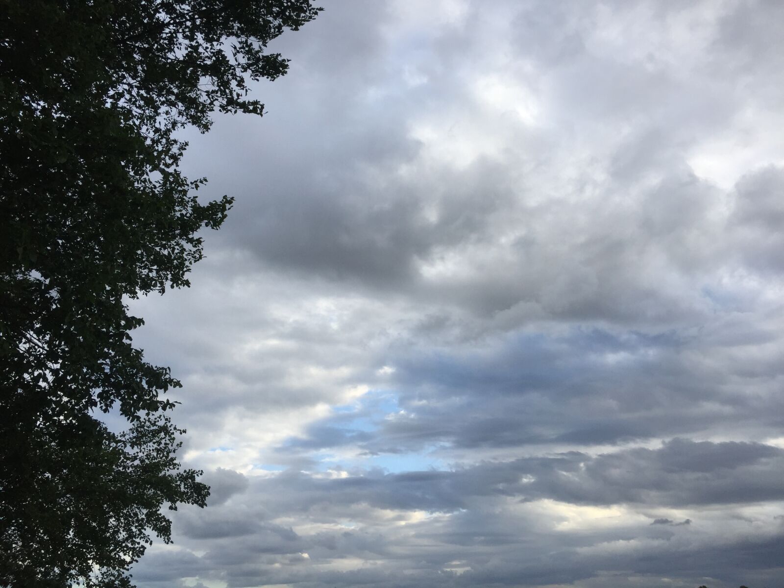 iPhone 6 back camera 4.15mm f/2.2 sample photo. Sky photography