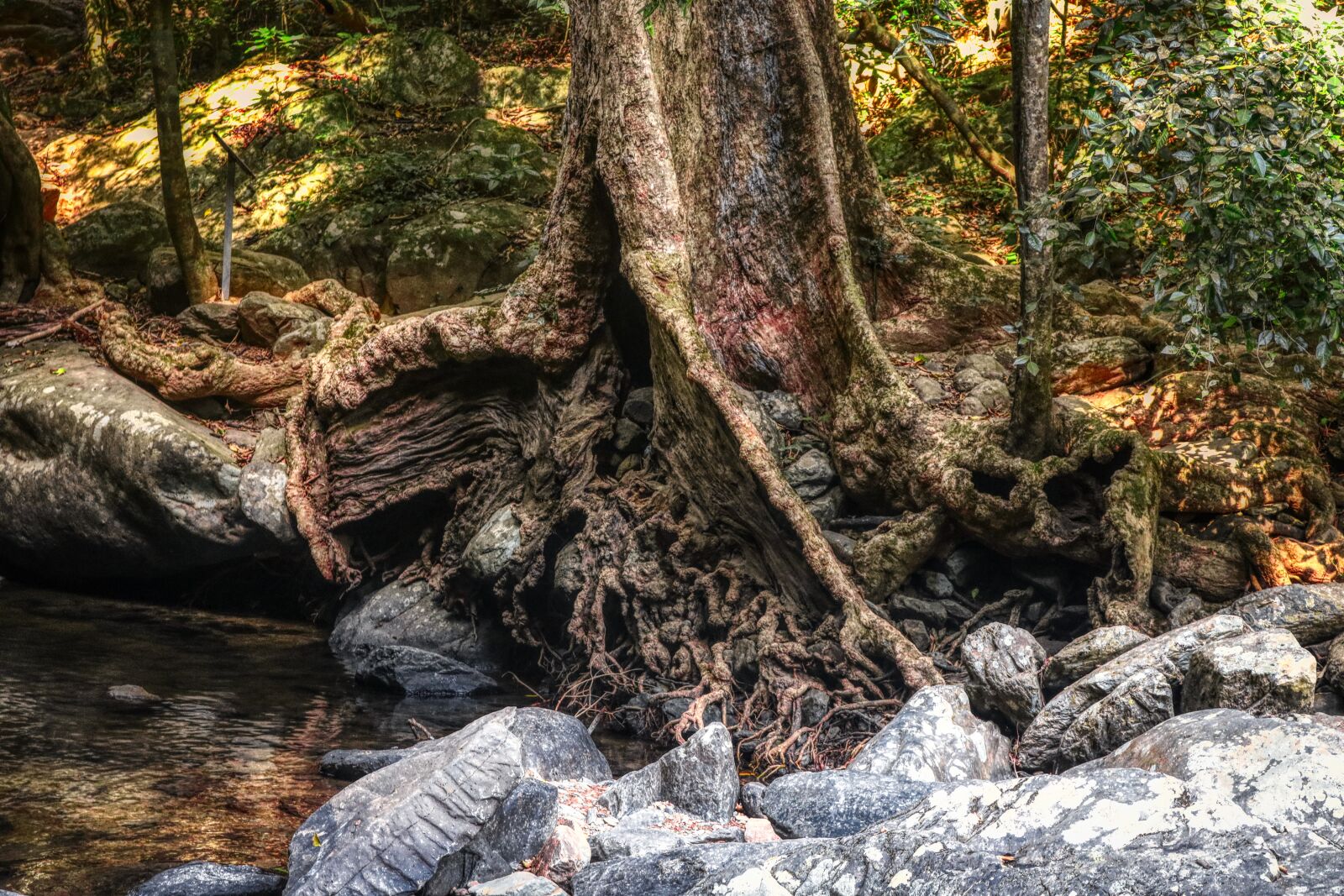 Canon EOS 750D (EOS Rebel T6i / EOS Kiss X8i) sample photo. Nature, thailand, paradise photography