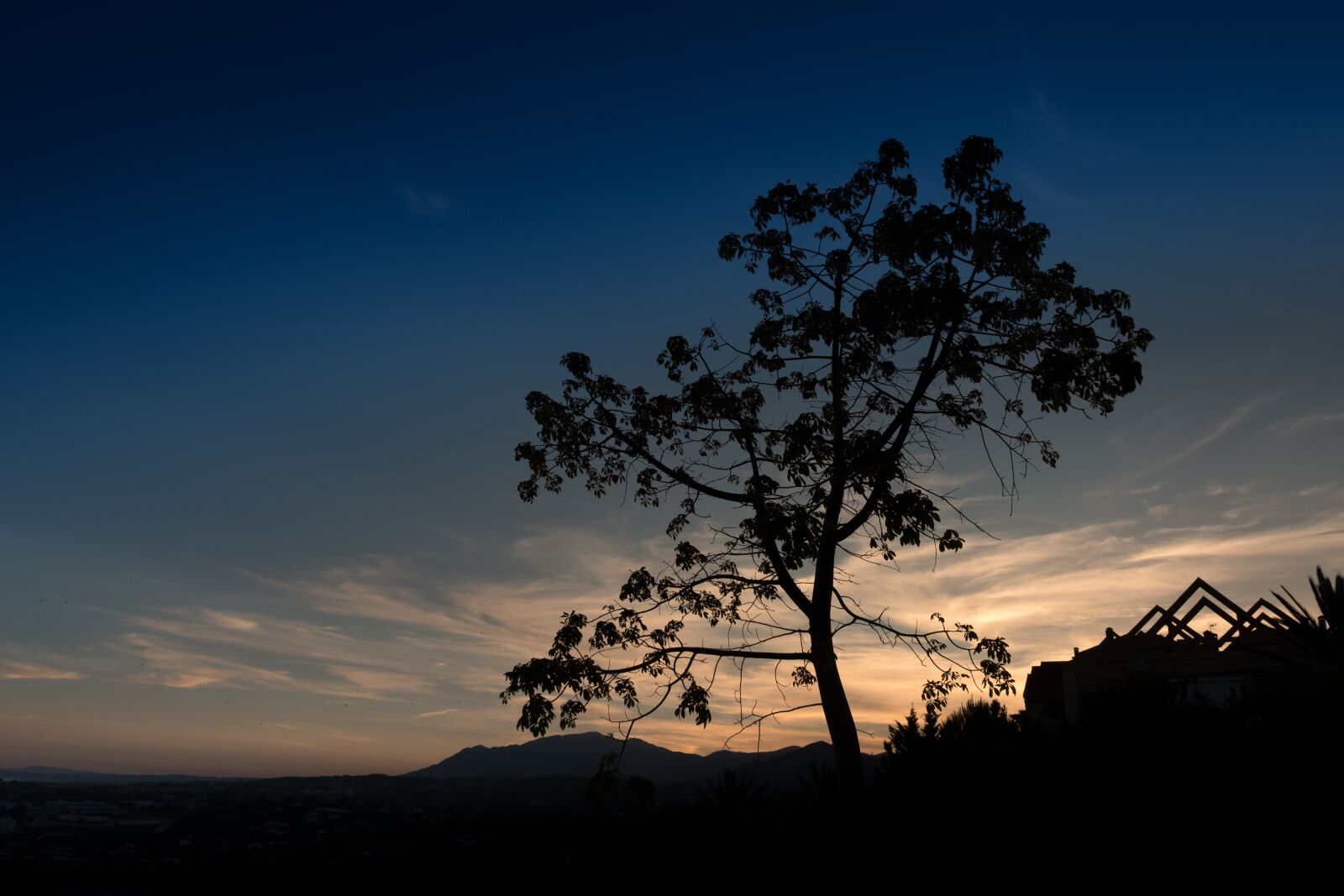 Fujifilm XF 18-55mm F2.8-4 R LM OIS sample photo. Sunset, marbella, tree photography