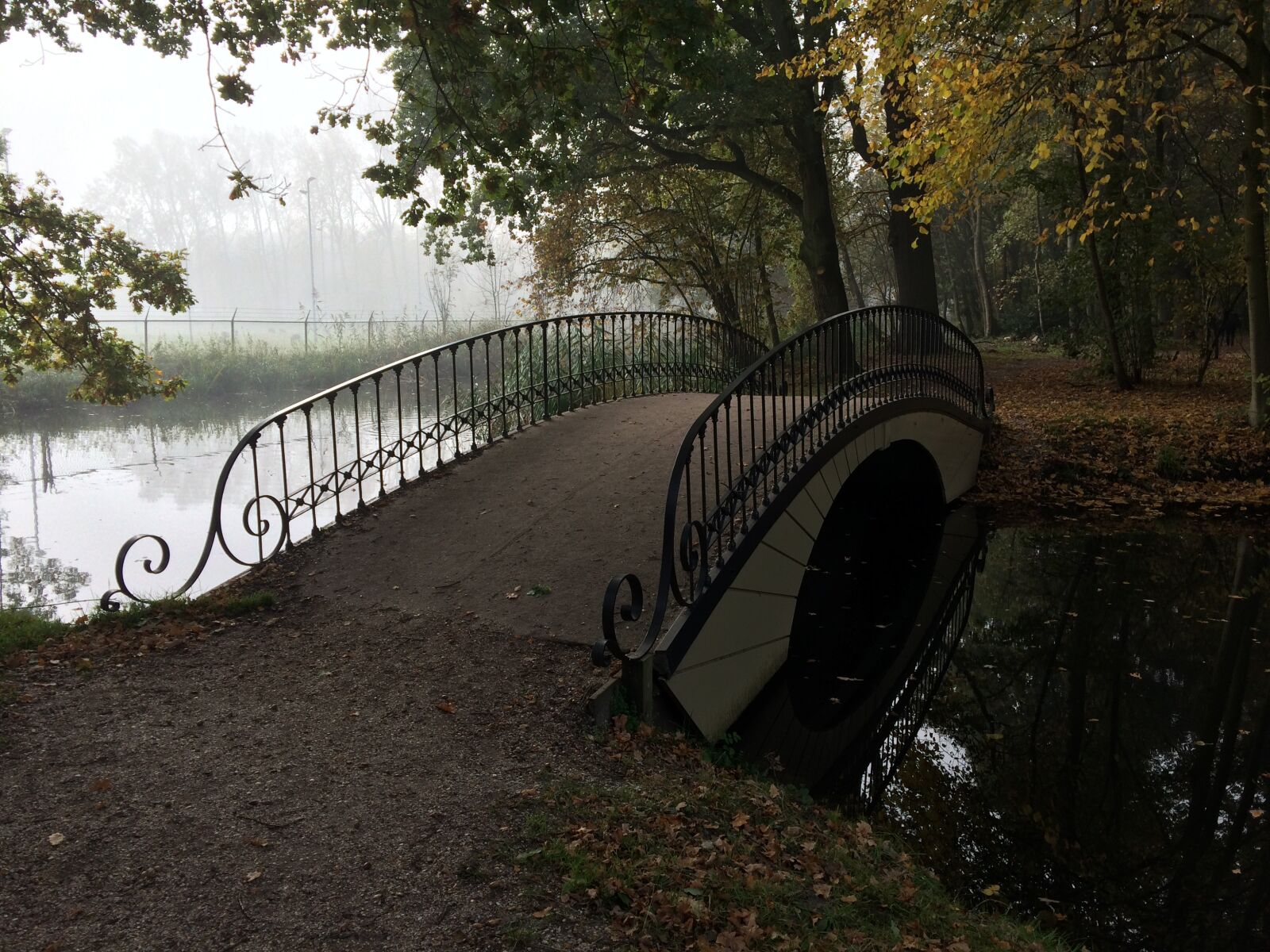 iPhone 5s back camera 4.15mm f/2.2 sample photo. Bridge, fall, nature photography