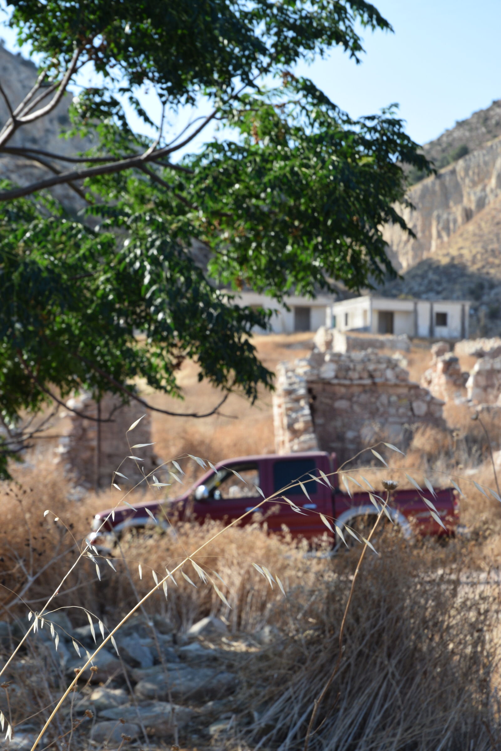 Nikon D3300 sample photo