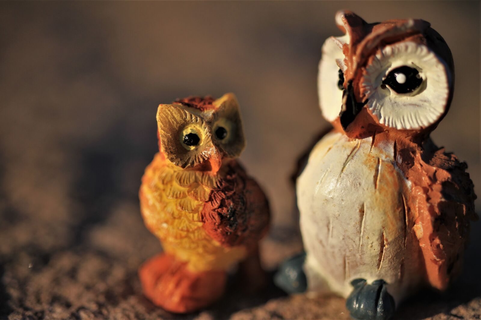 Canon EOS 7D sample photo. Owls, decoration, figures photography