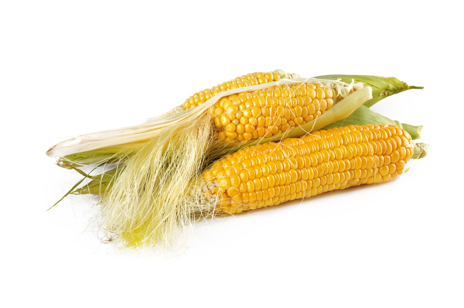 Nikon D5000 sample photo. Corn, natural, ripe photography