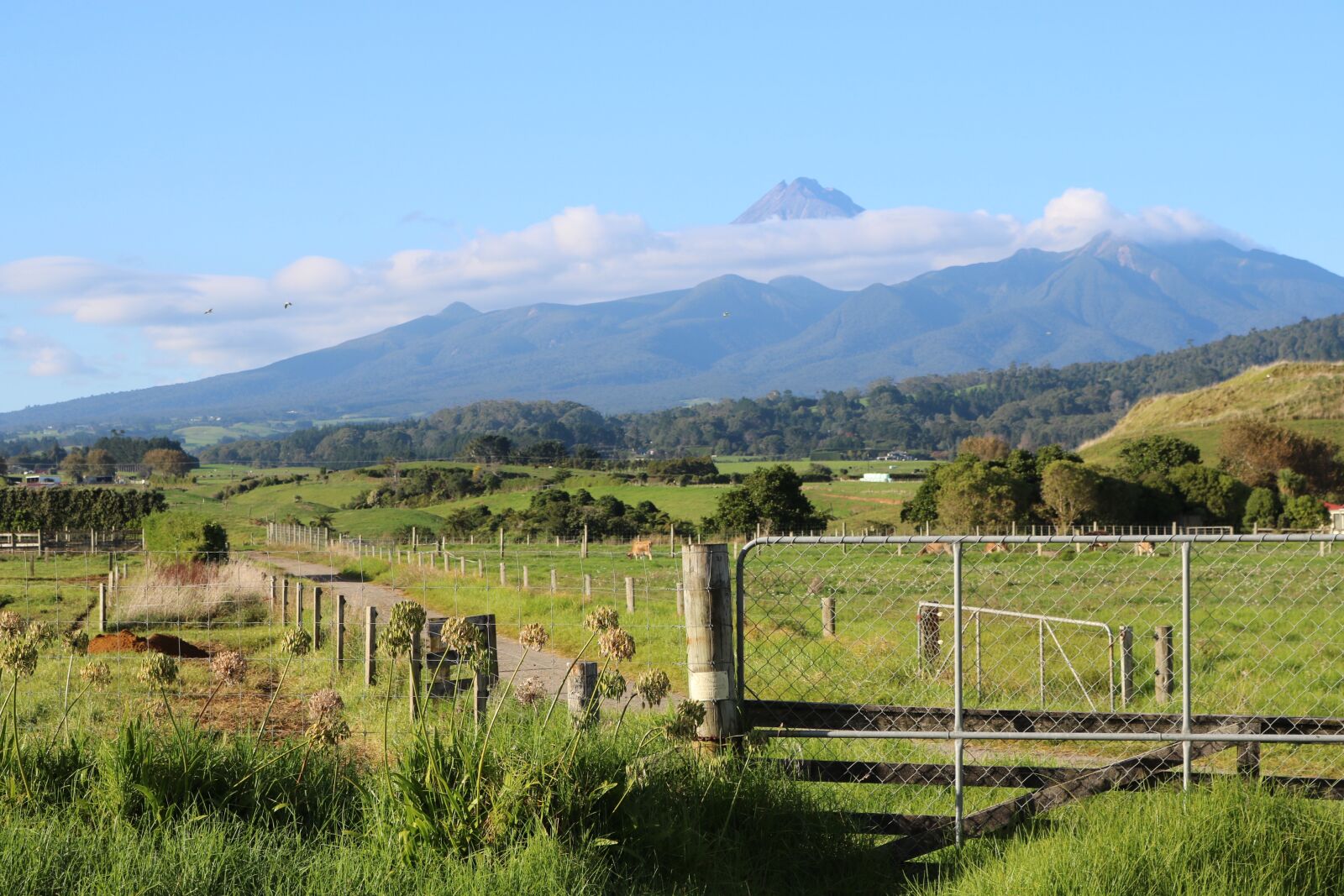 Canon EOS 750D (EOS Rebel T6i / EOS Kiss X8i) sample photo. Taranaki, mountain, farm photography