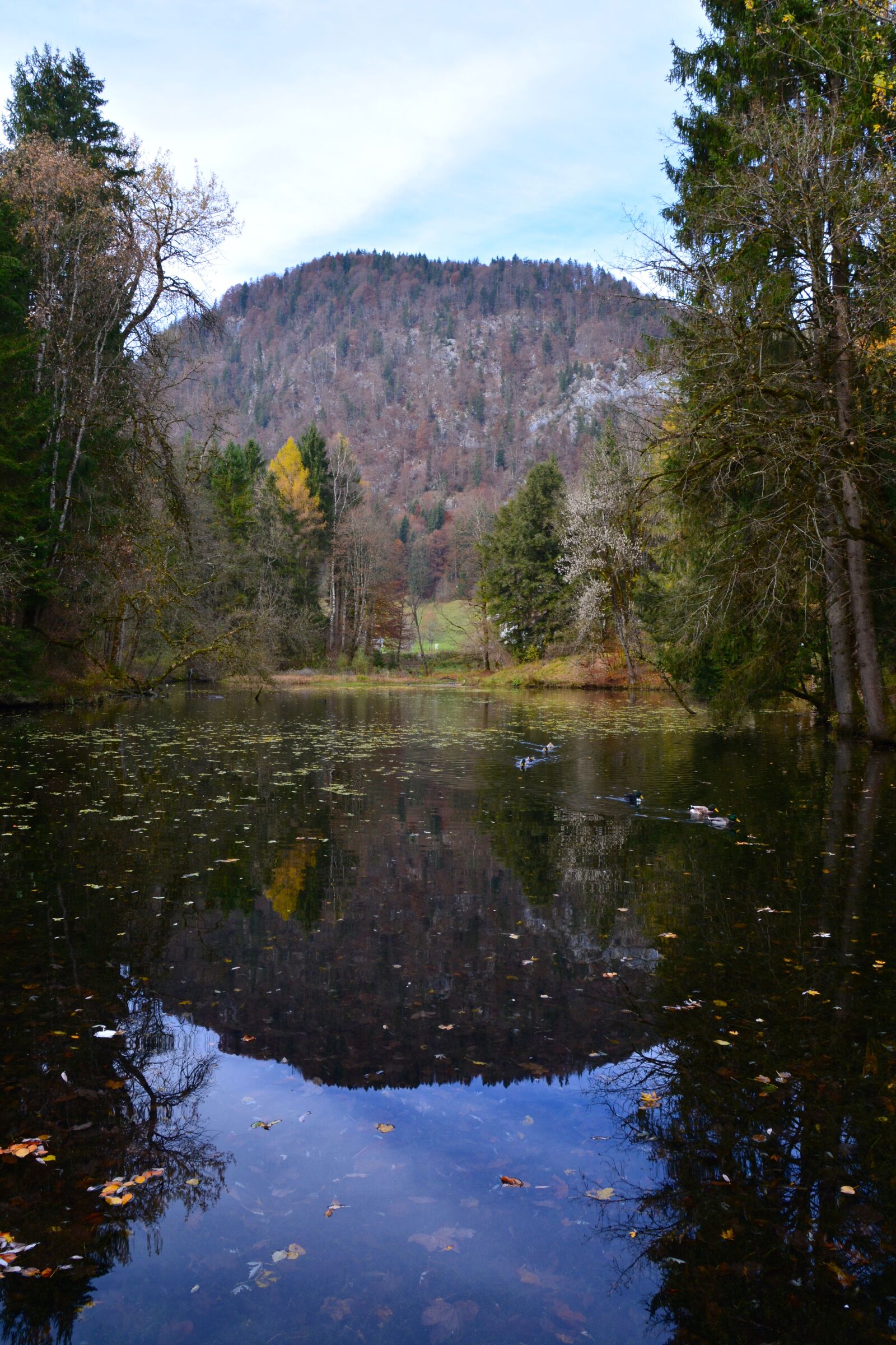Nikon D5200 sample photo. Trees, lake, mountain photography