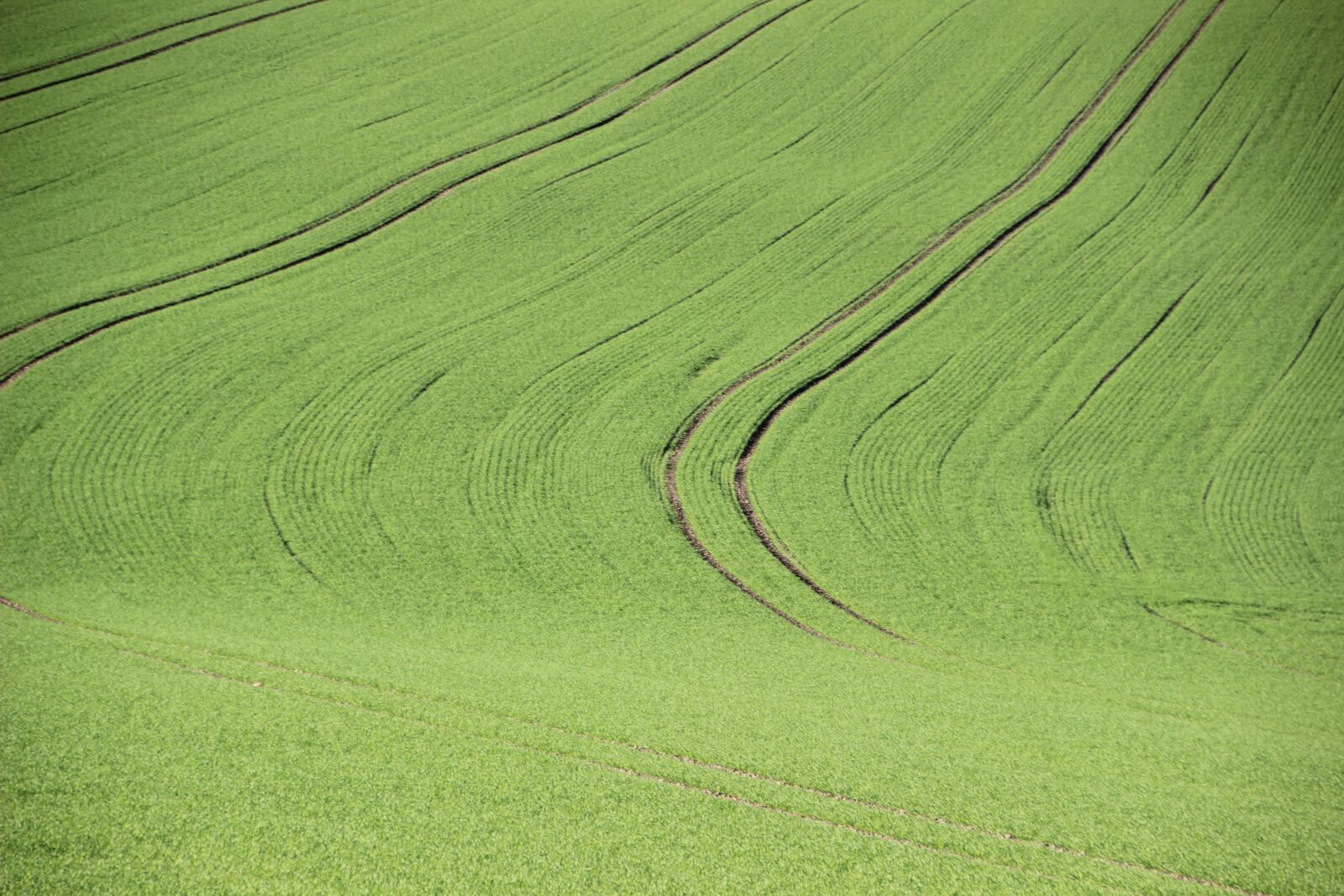 Canon EOS 600D (Rebel EOS T3i / EOS Kiss X5) sample photo. Agriculture, field, structure photography