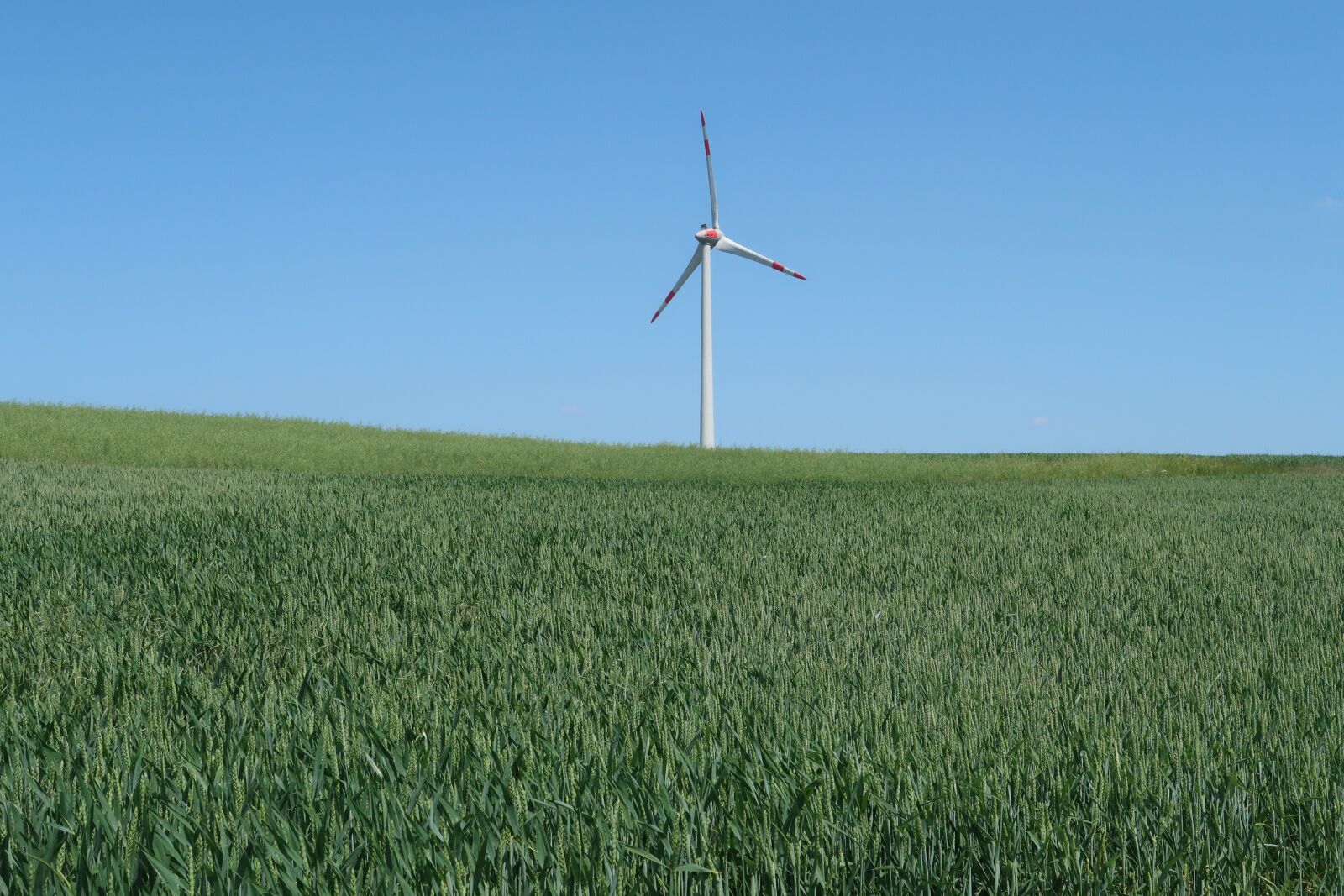 Canon PowerShot G7 X Mark II sample photo. Pinwheel, alternative energy, wind photography