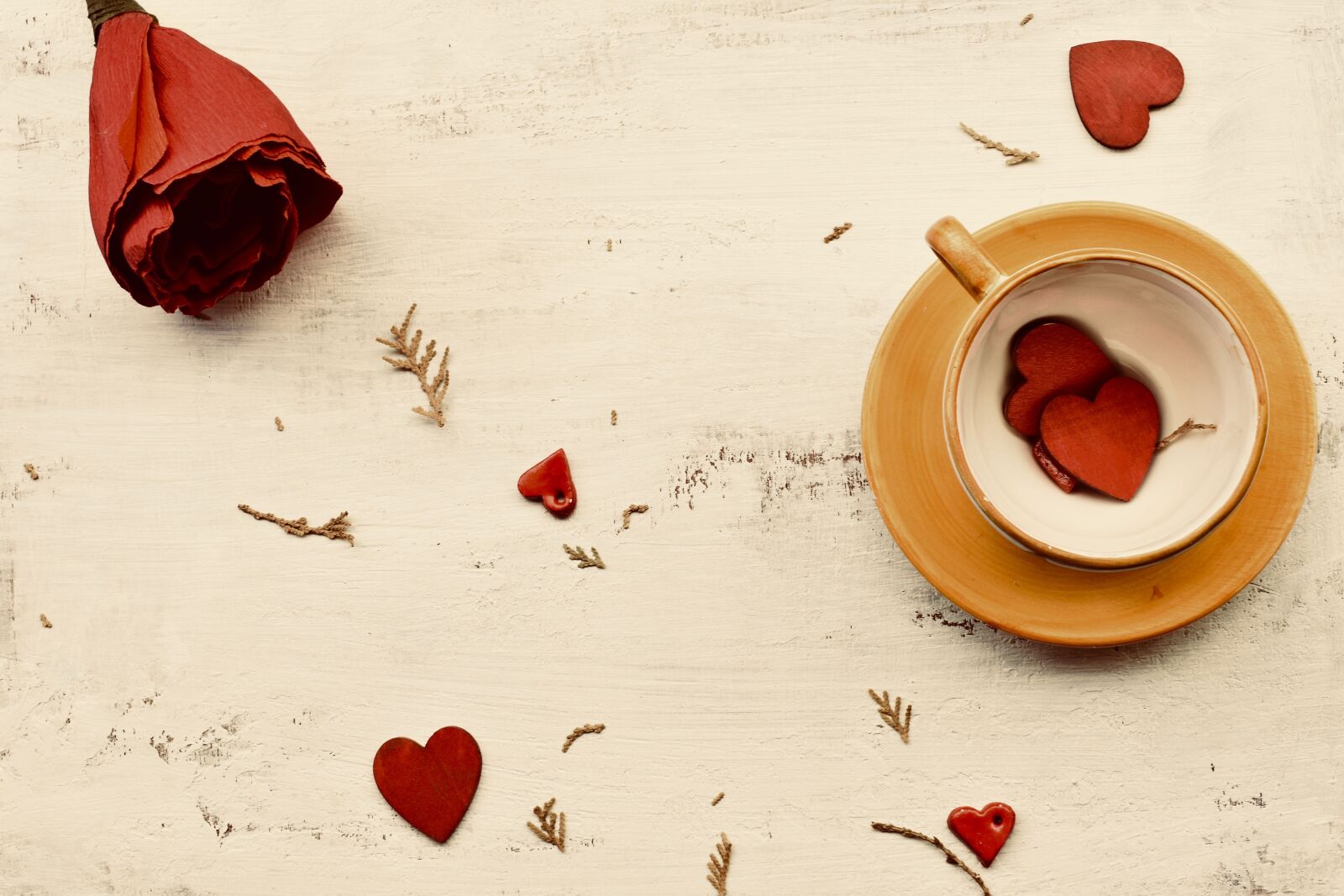 Nikon D3400 sample photo. Desktop background, coffee table photography