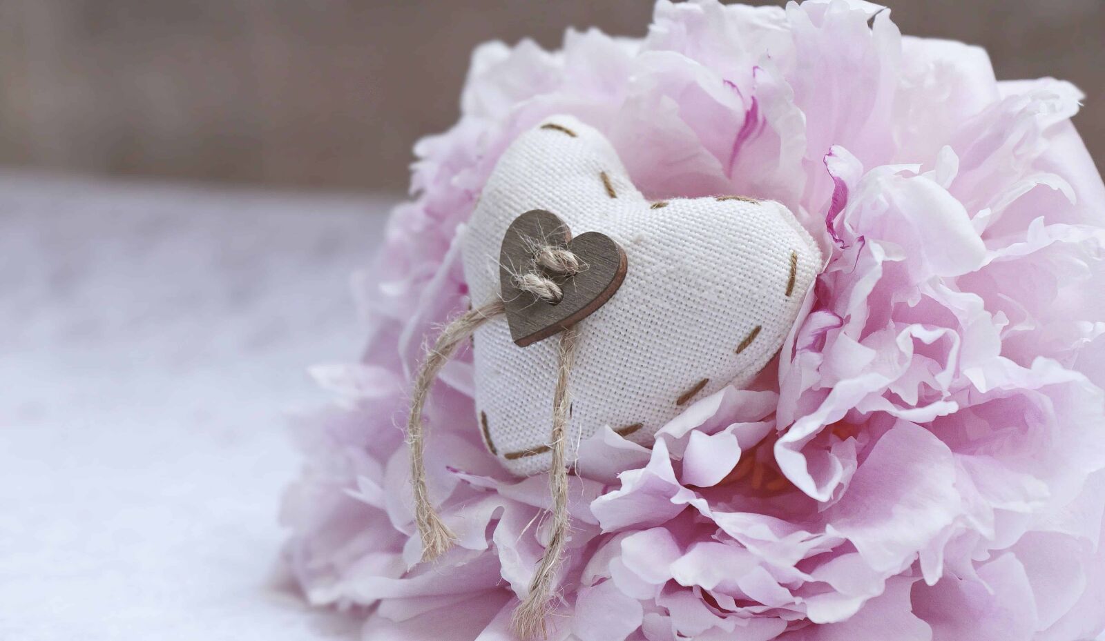 Canon EOS 100D (EOS Rebel SL1 / EOS Kiss X7) sample photo. Petal, rose, love, decoration photography