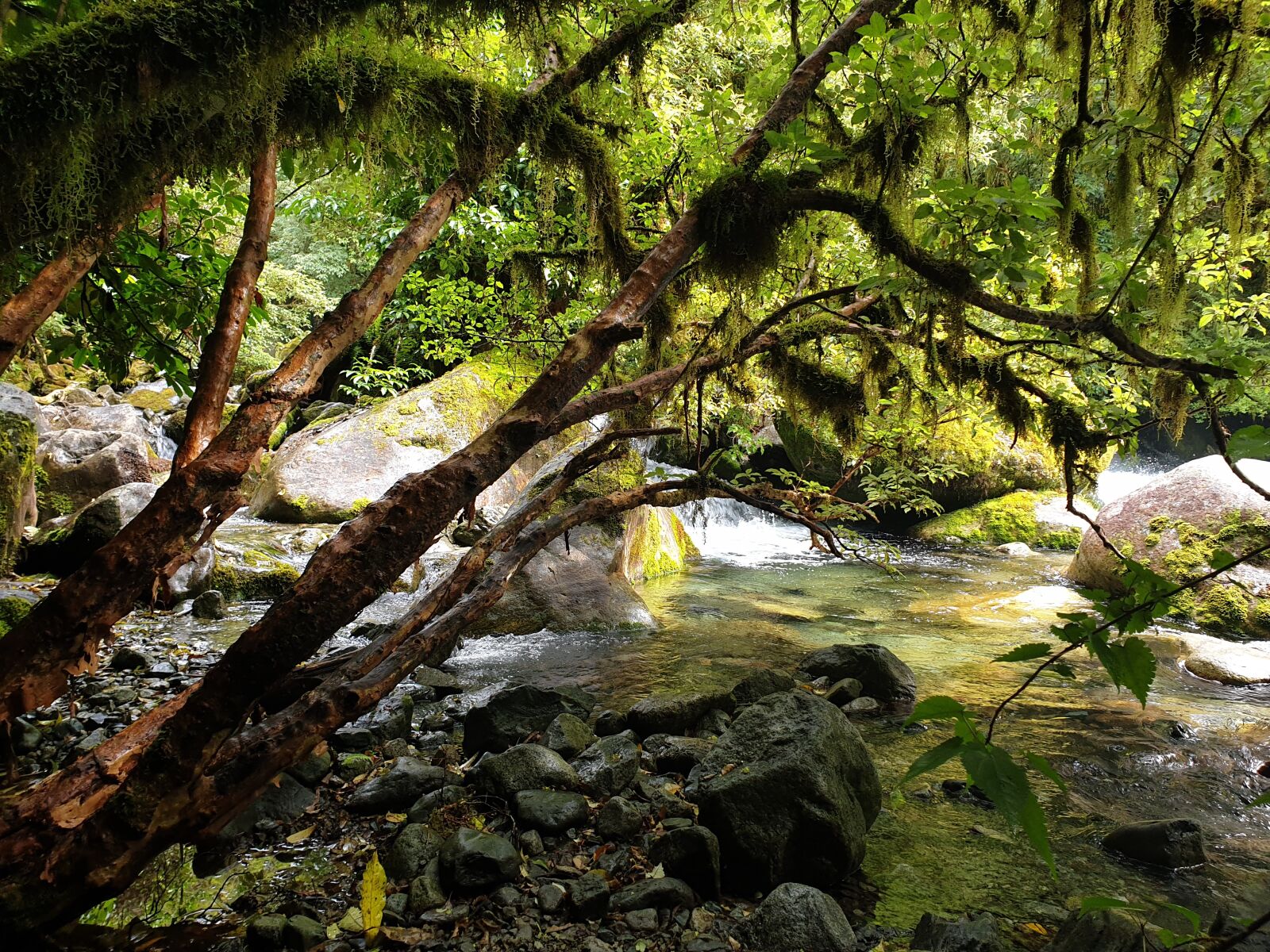 Samsung Galaxy Note9 sample photo. New zealand, fiordland, water photography