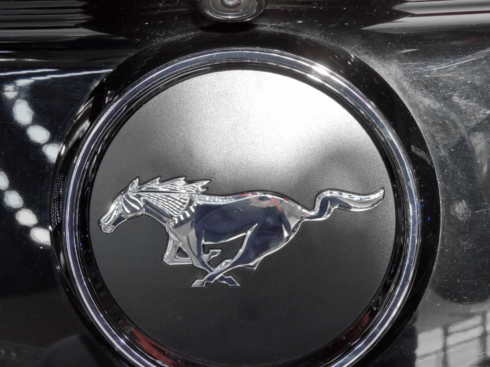 Nikon Coolpix P520 sample photo. Bumper, car, metallic, mustang photography