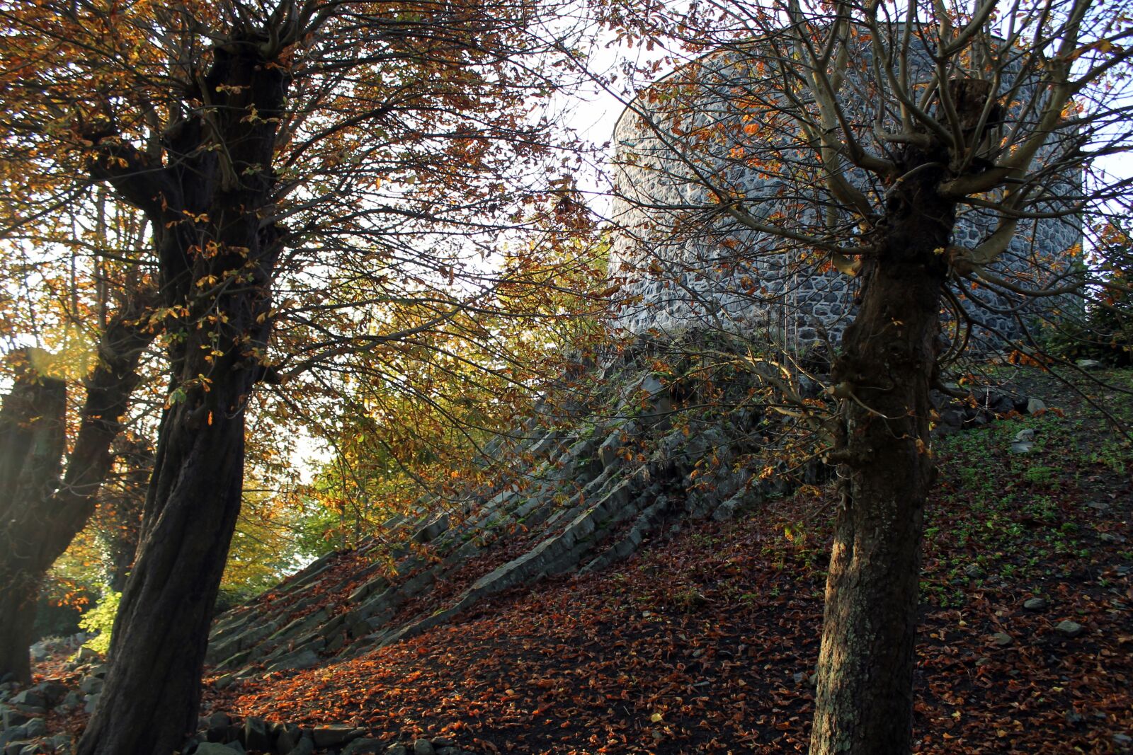 Canon EOS 1100D (EOS Rebel T3 / EOS Kiss X50) sample photo. Westerburg, westerwald, castle photography