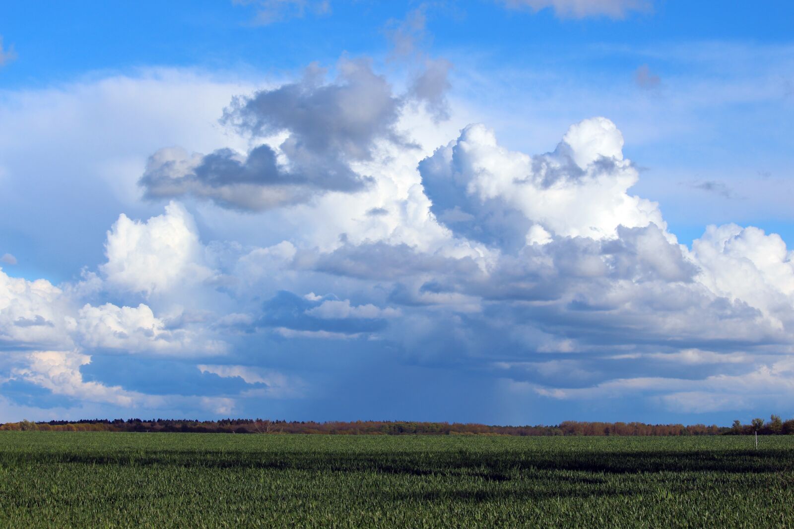 Canon EF-S 55-250mm F4-5.6 IS STM sample photo. Flat land, mecklenburg western photography
