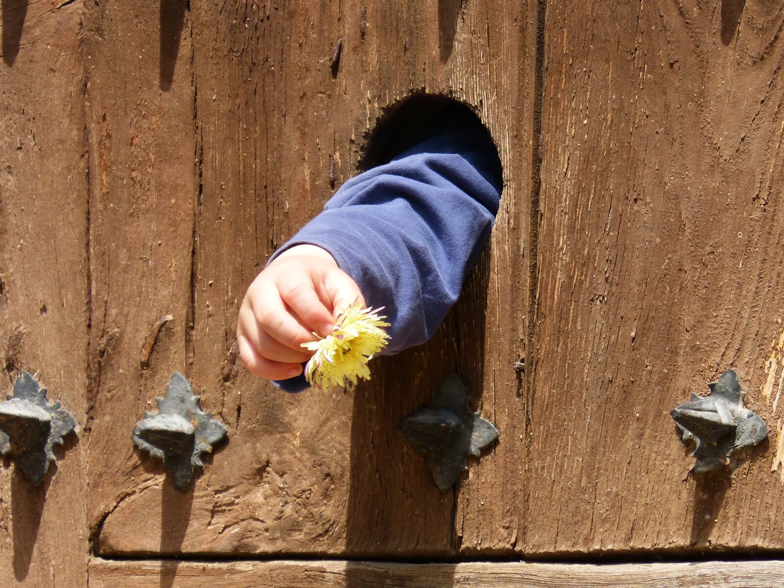 Panasonic DMC-FZ62 sample photo. Door, arm, child hand photography