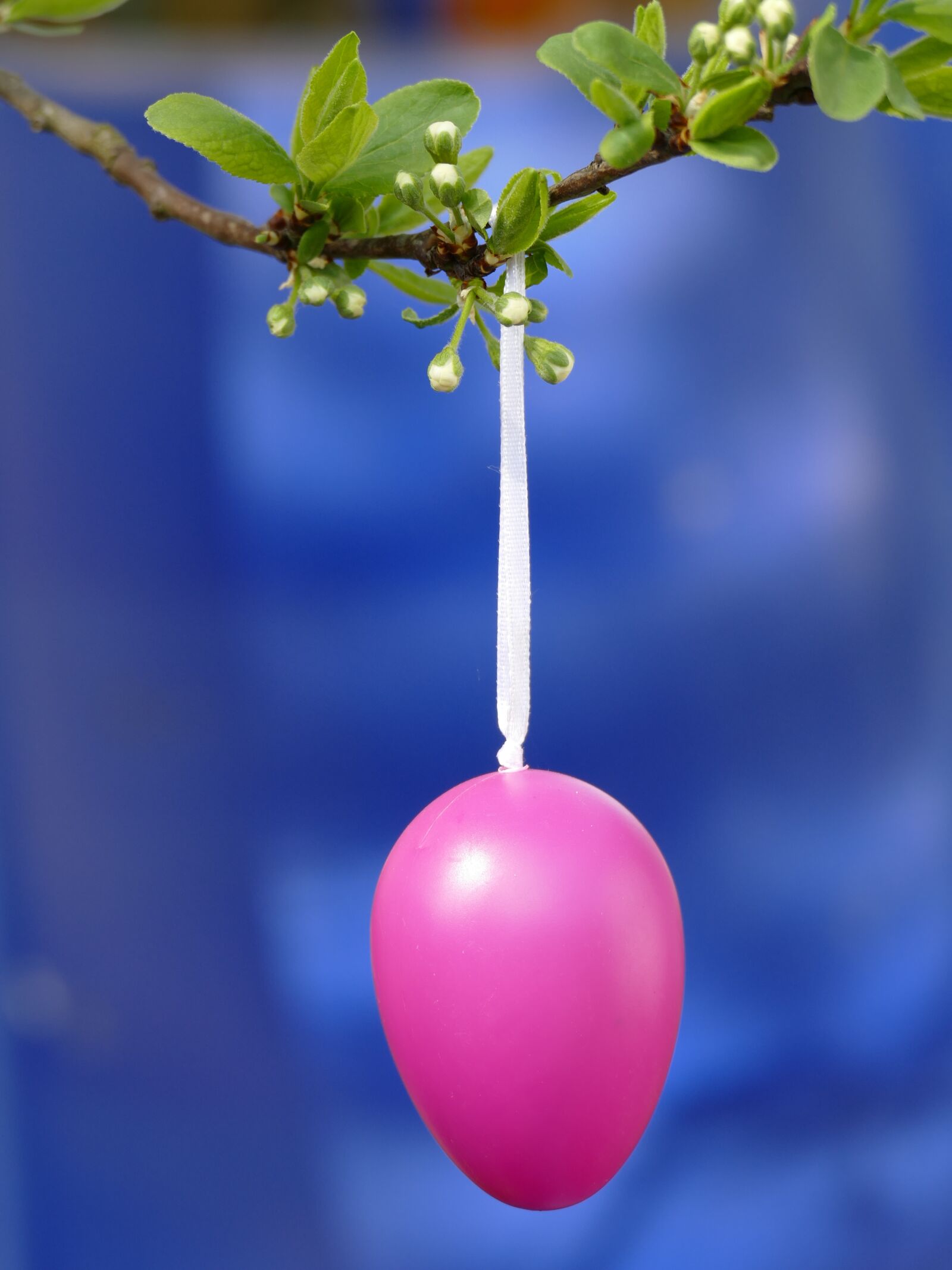 Panasonic Lumix DMC-FZ1000 sample photo. Easter, easter egg, pink photography