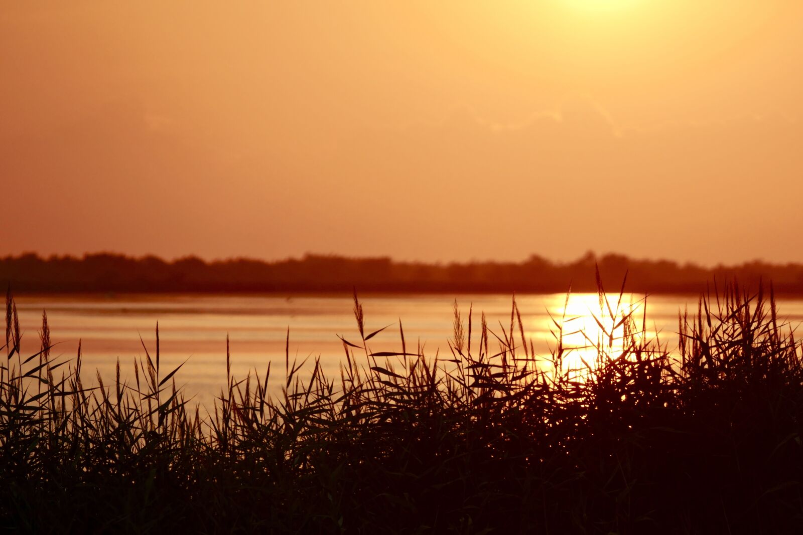 Panasonic Lumix DMC-FZ1000 sample photo. Sunset, waters, dawn photography