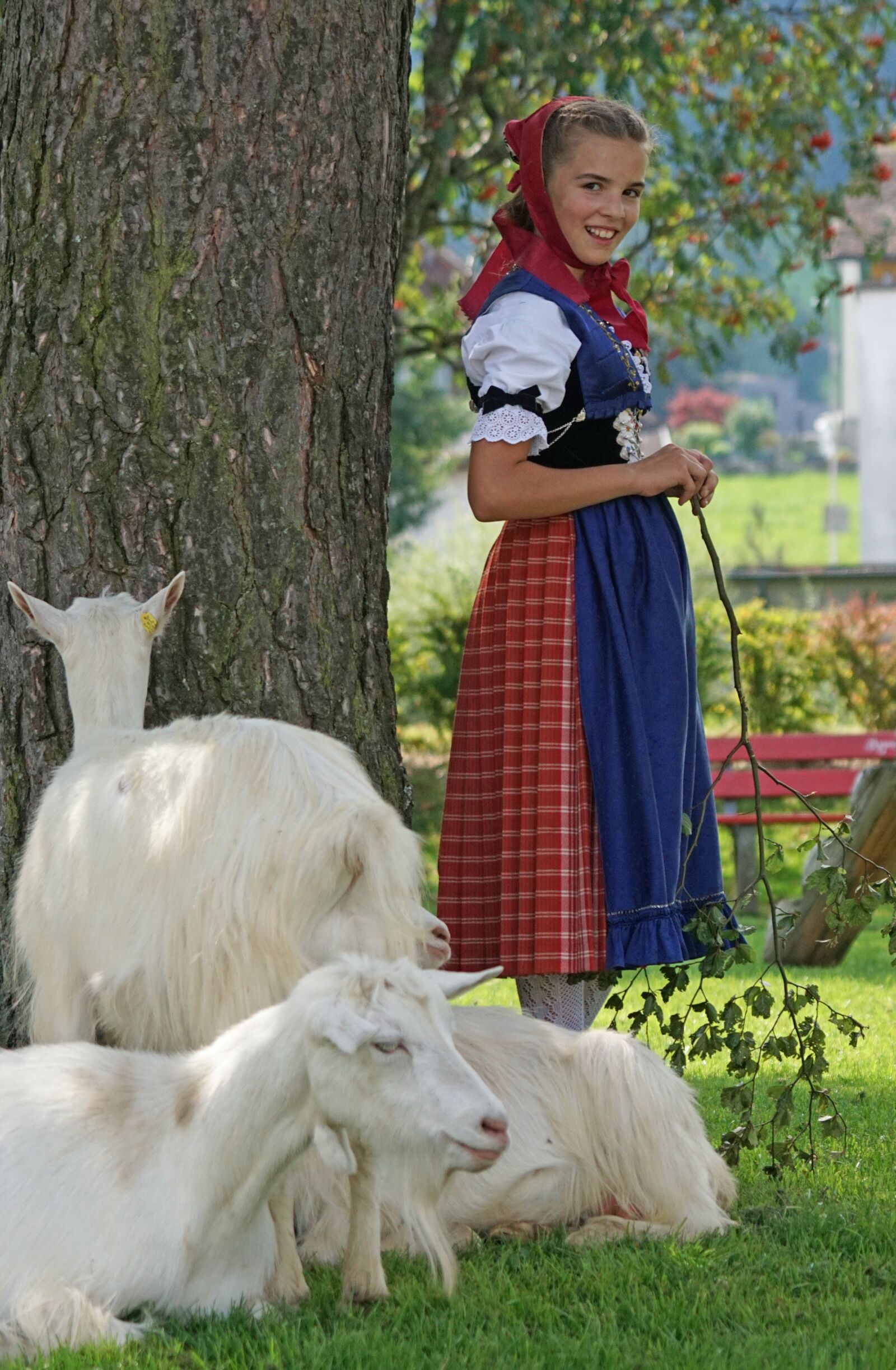 Sony ILCA-77M2 + Sony 70-400mm F4-5.6 G SSM sample photo. Almabtrieb, d salpe, alp photography
