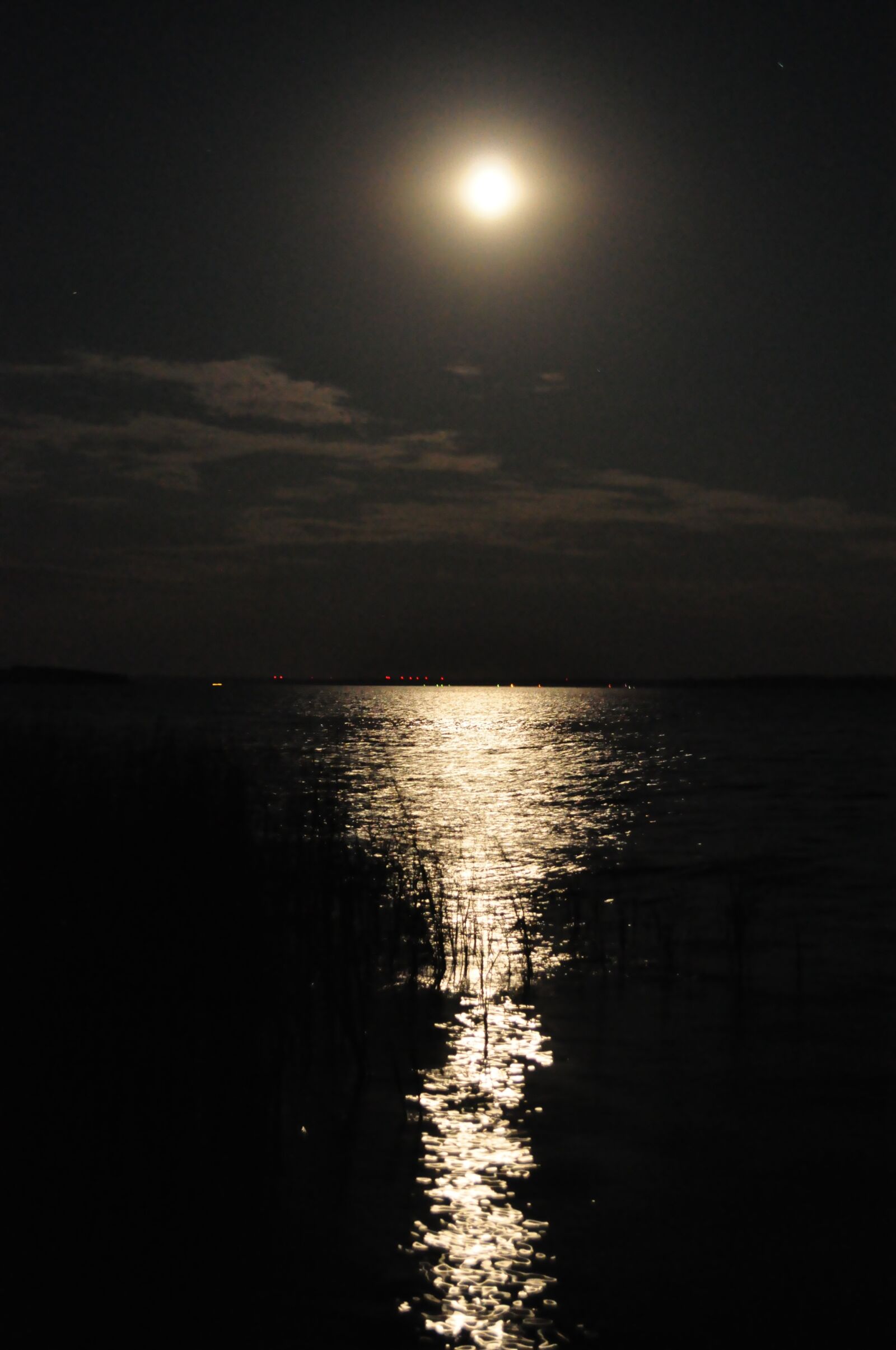Nikon D90 sample photo. Moonlight, water, sparkle photography