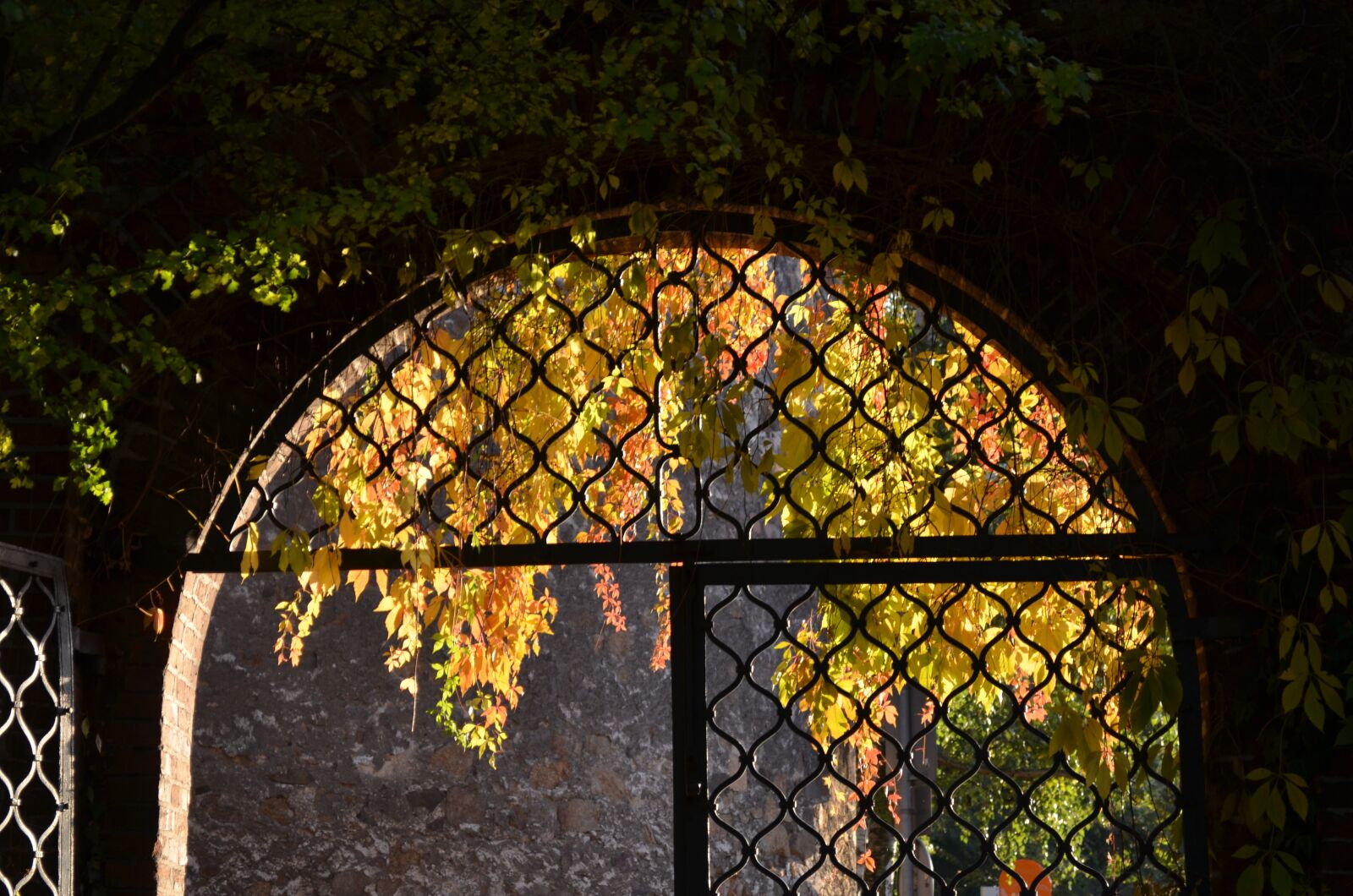 Nikon D5100 sample photo. Archway, autumn, input photography