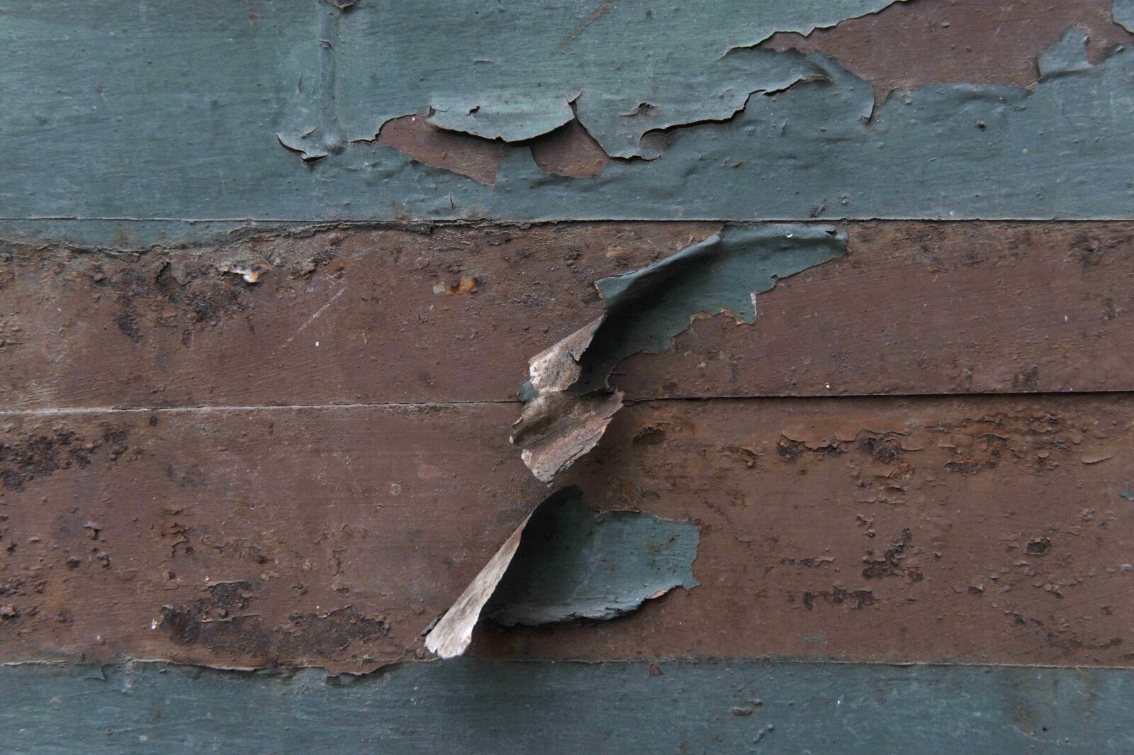 Nikon D3 sample photo. Background, dirty, web page photography