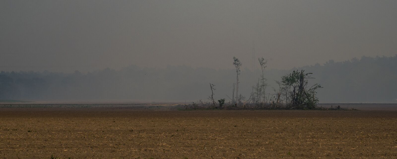 Sony Cyber-shot DSC-RX10 IV sample photo. Fire, blushelicopter, a photography