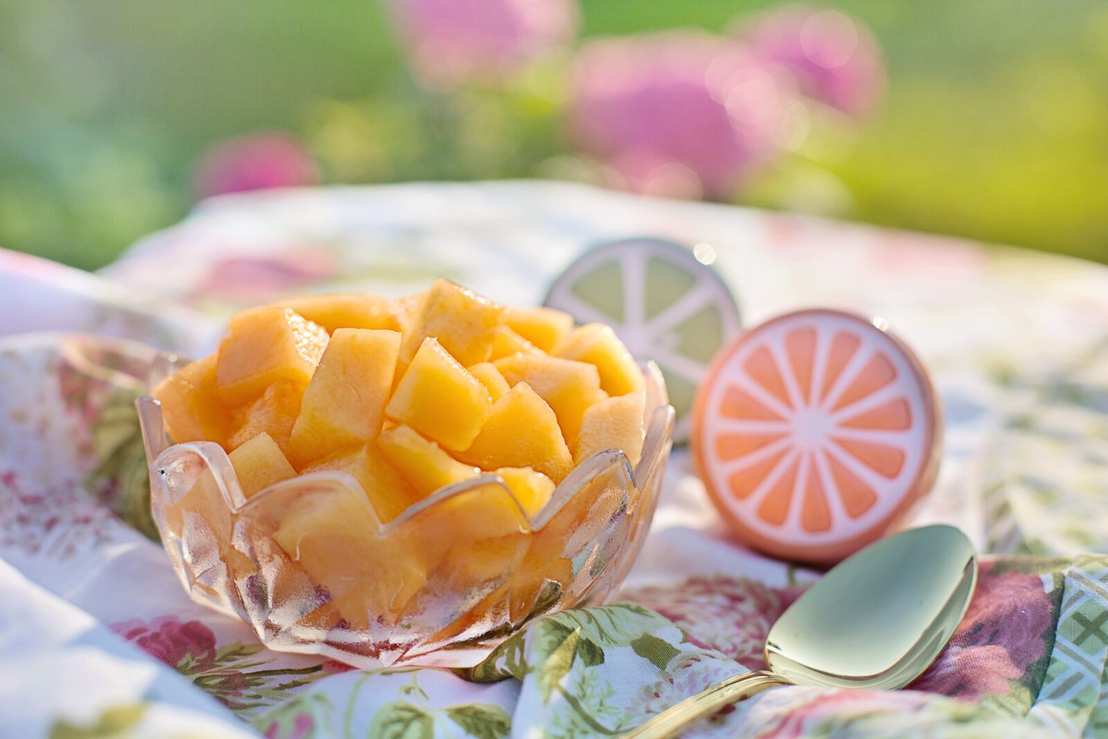 Canon EF 50mm F1.4 USM sample photo. Cantaloupe, summer, nutrition photography