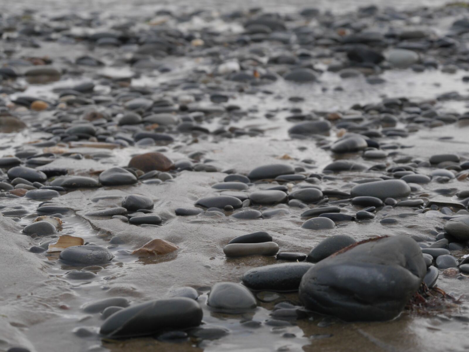 Panasonic Lumix DMC-G6 sample photo. Wales, beach, stones photography