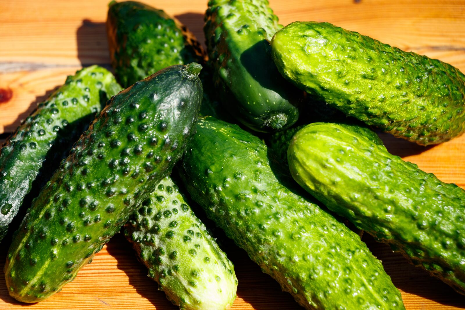 Canon EF-S 18-135mm F3.5-5.6 IS USM sample photo. Cucumbers, vegetables, food photography