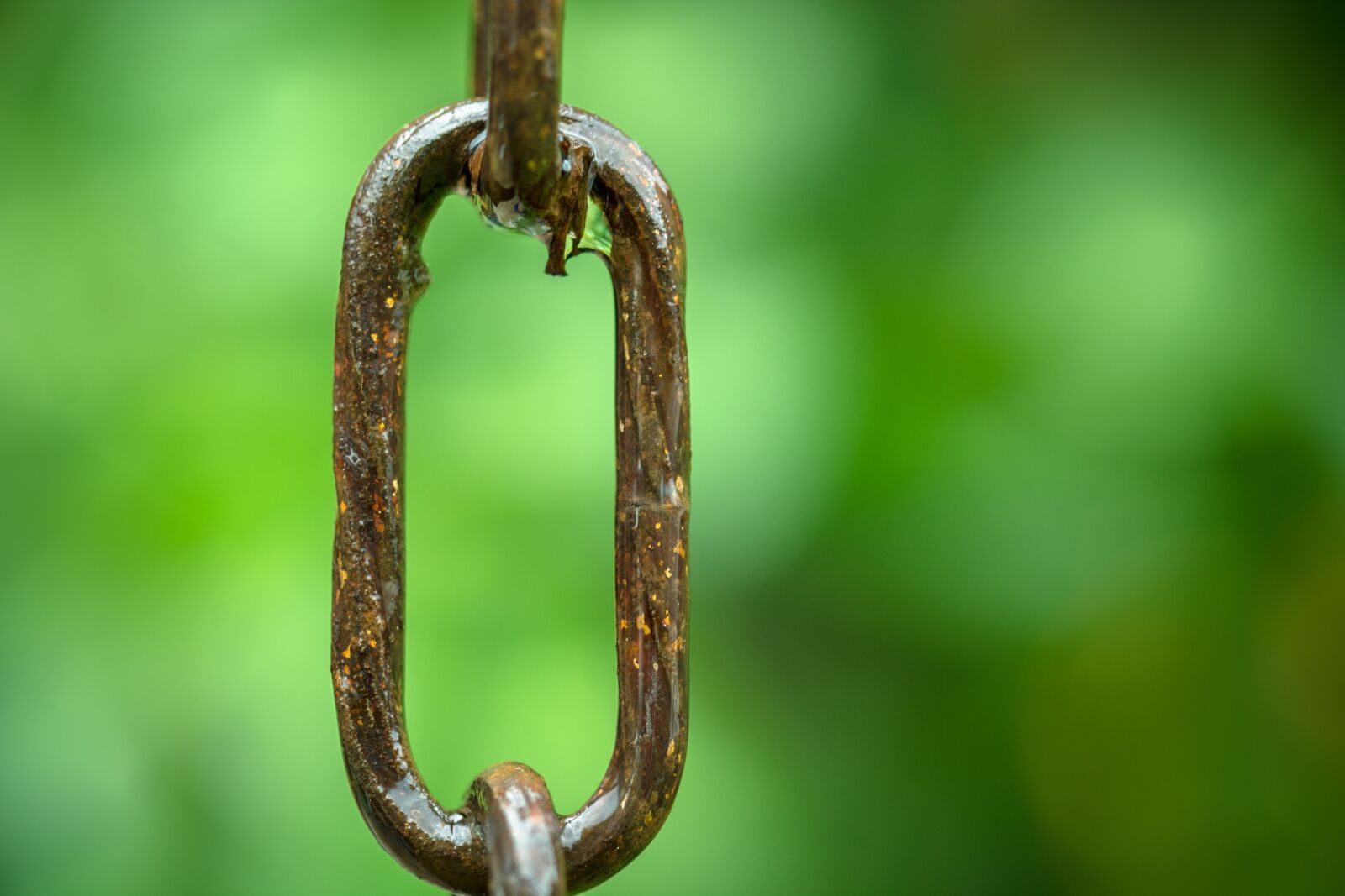 Nikon D7100 sample photo. Chain link, round link photography