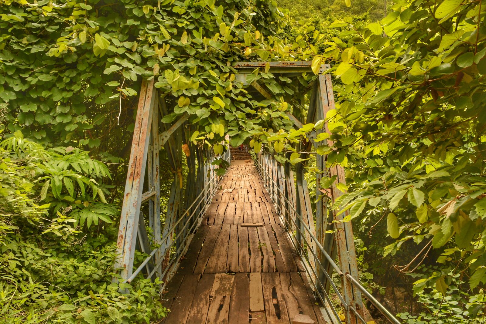 Nikon D5200 sample photo. Forest, narsimhaswamy temple, india photography