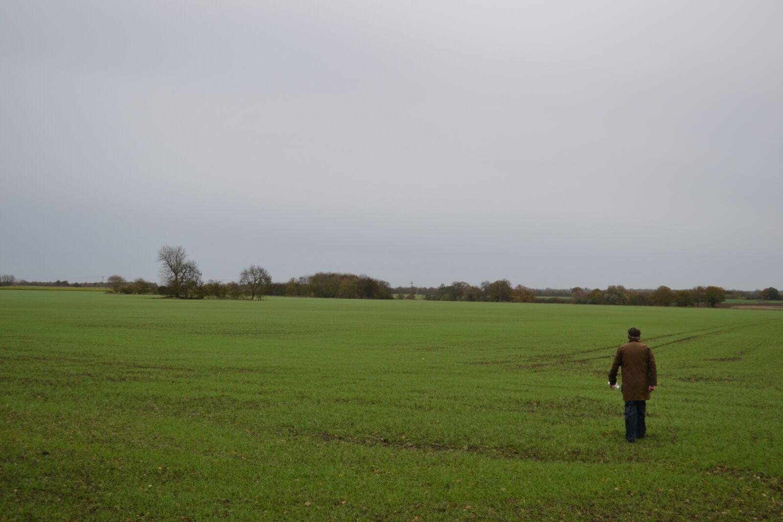 Nikon D3100 sample photo. Field, landscape, rural photography