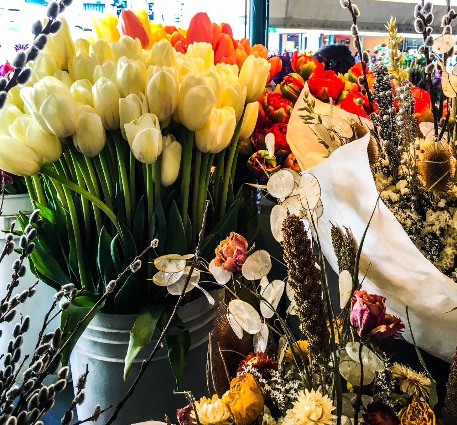 Apple iPhone 6s sample photo