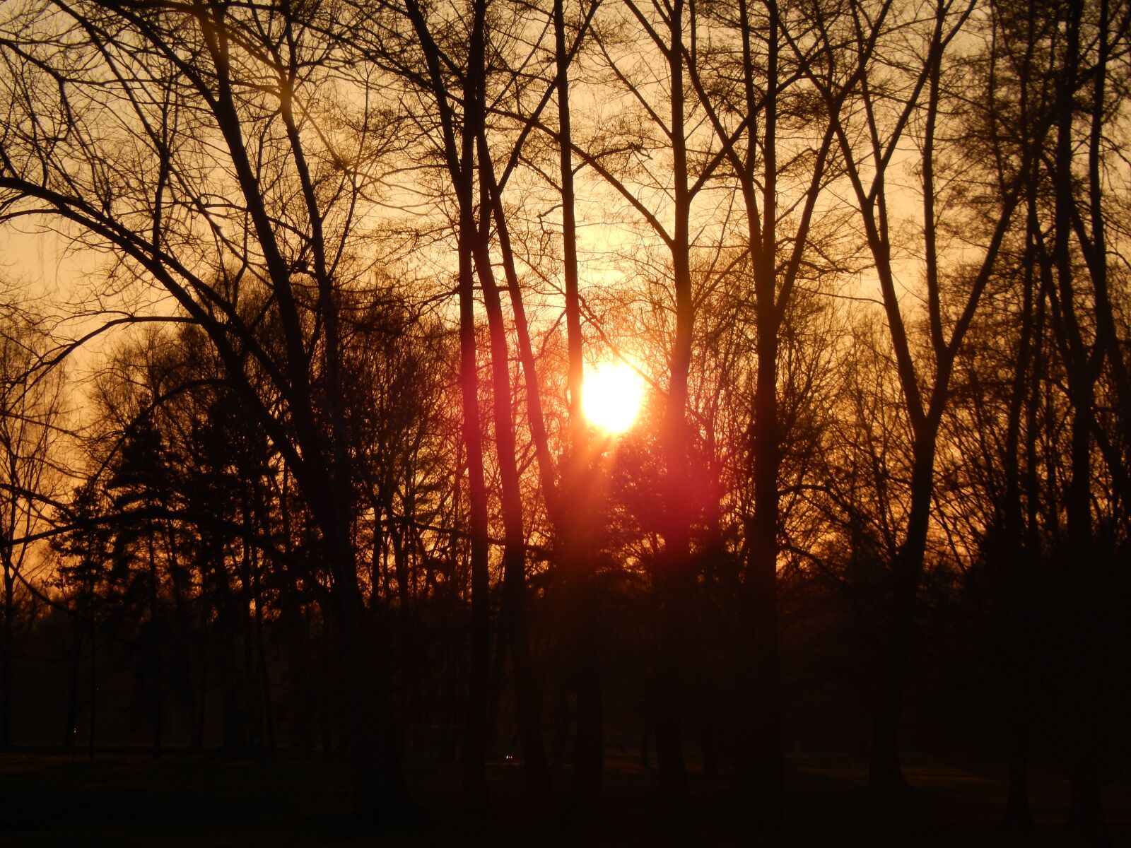 Nikon Coolpix L820 sample photo. Sun, stromovka, west photography