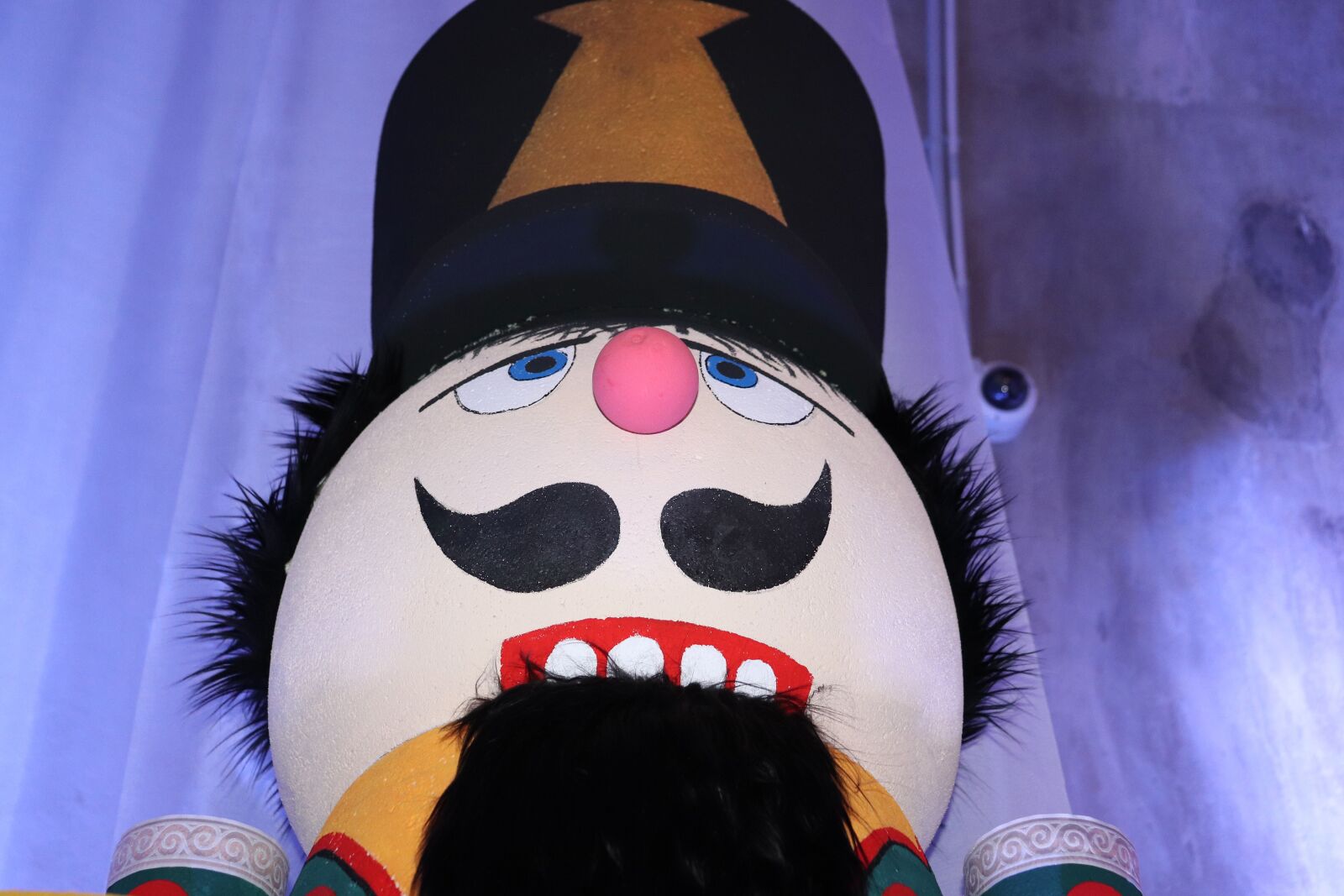 Canon EOS 200D (EOS Rebel SL2 / EOS Kiss X9) sample photo. Nutcracker in tunnel, under photography