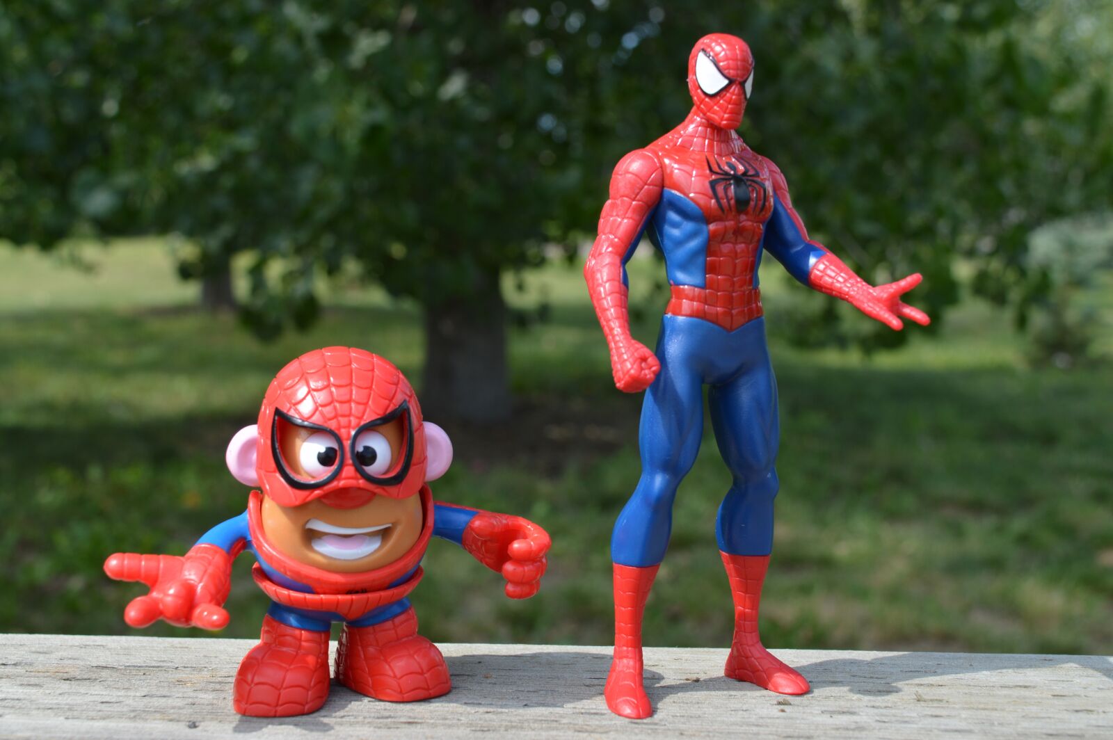 Nikon D3200 sample photo. Spiderman, potato head, superhero photography