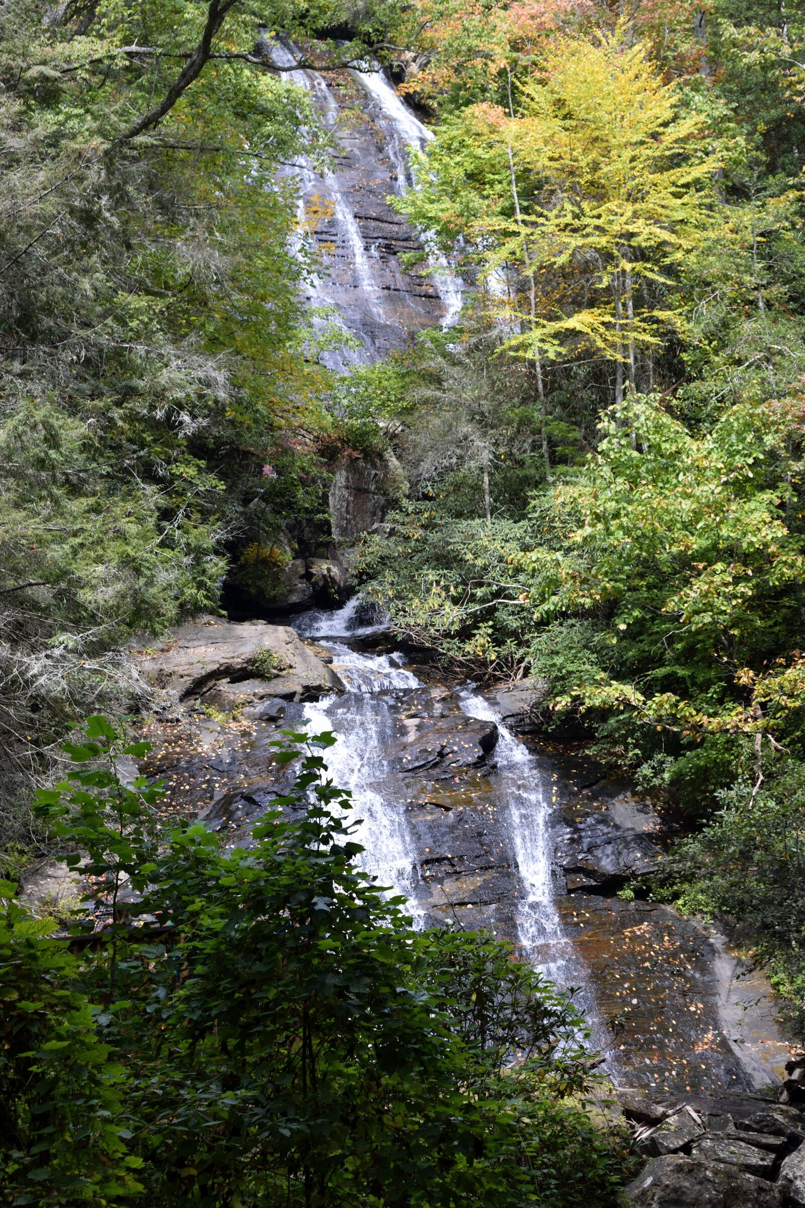 Nikon D3300 sample photo. Anna ruby falls, creek photography