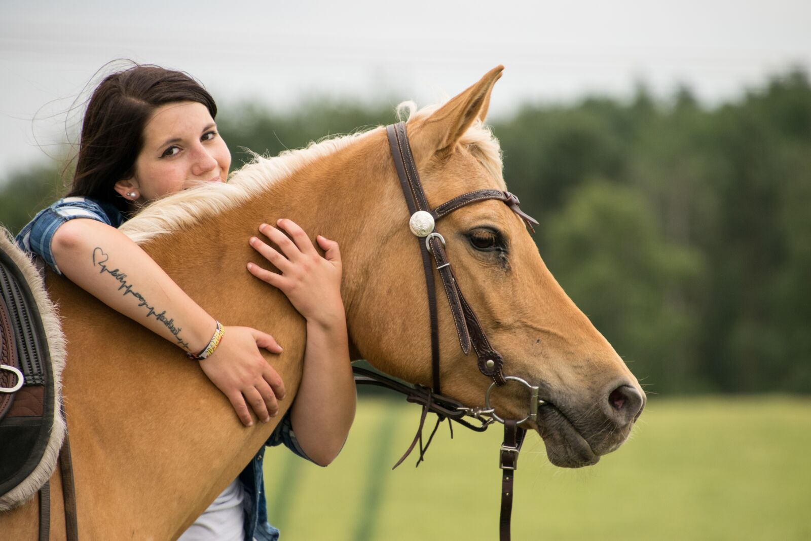 Nikon D3300 sample photo. Horse, animal, friendship photography