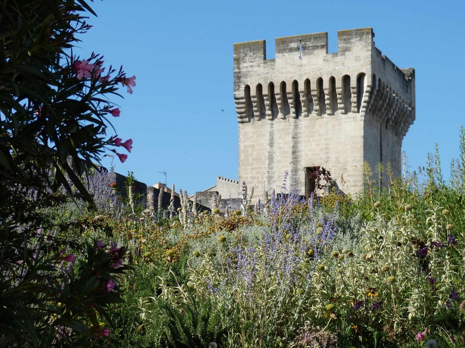 Panasonic Lumix DMC-FZ150 sample photo. Avignon, france, provence photography