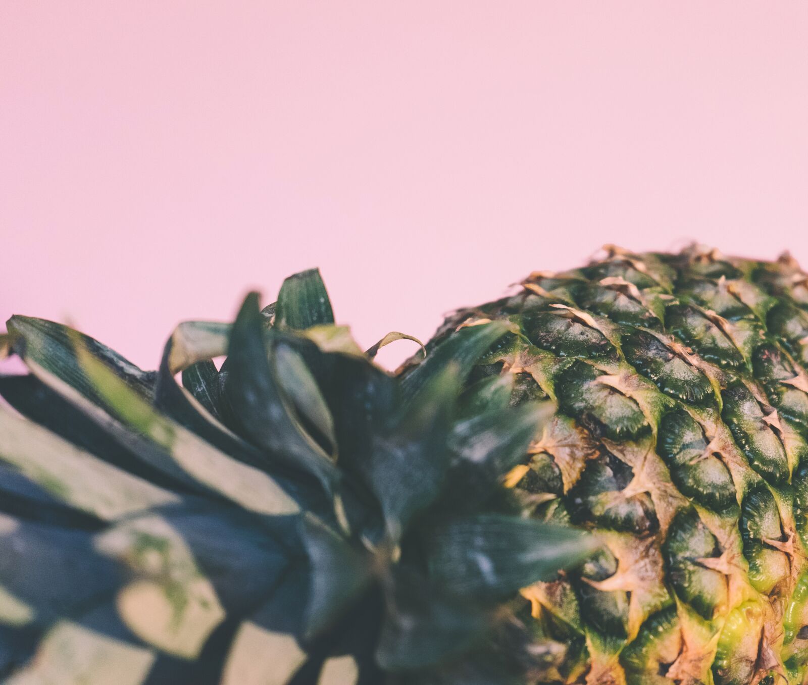 Sony a7 II + Sony FE 28-70mm F3.5-5.6 OSS sample photo. Food, fruit, healthy food photography