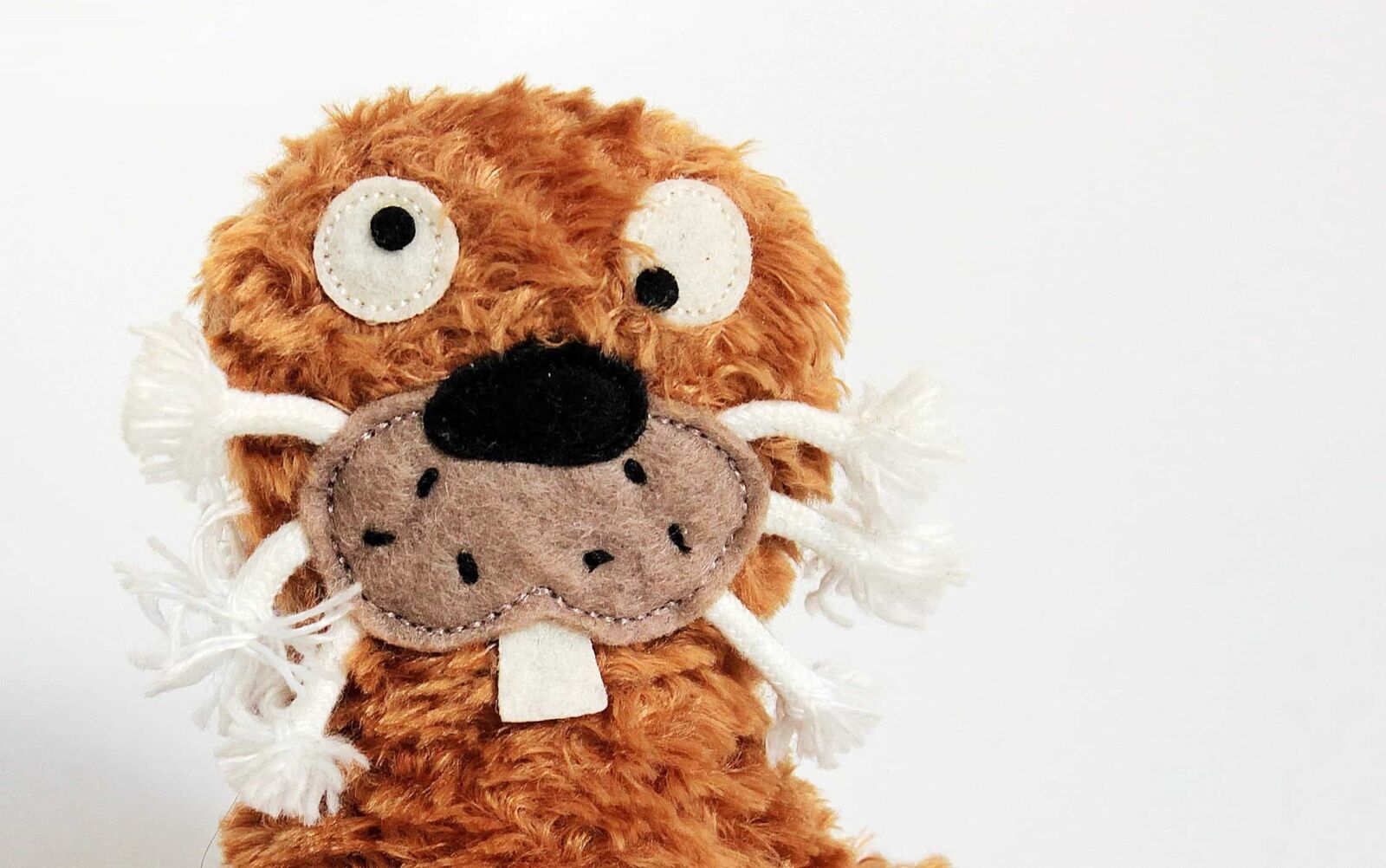 Canon EOS 550D (EOS Rebel T2i / EOS Kiss X4) sample photo. Teddy bear, plush toy photography