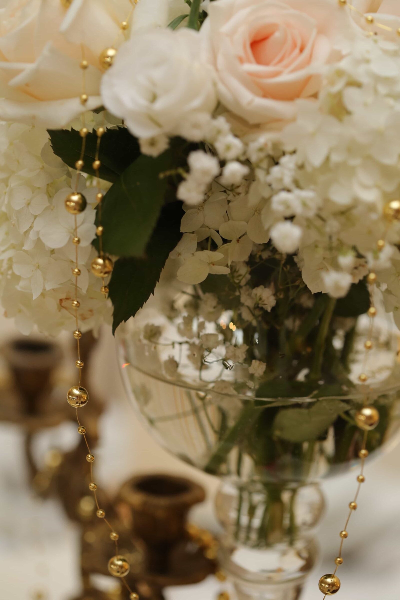 Canon EF 100mm F2.8 Macro USM sample photo. Elegance, golden glow, green photography