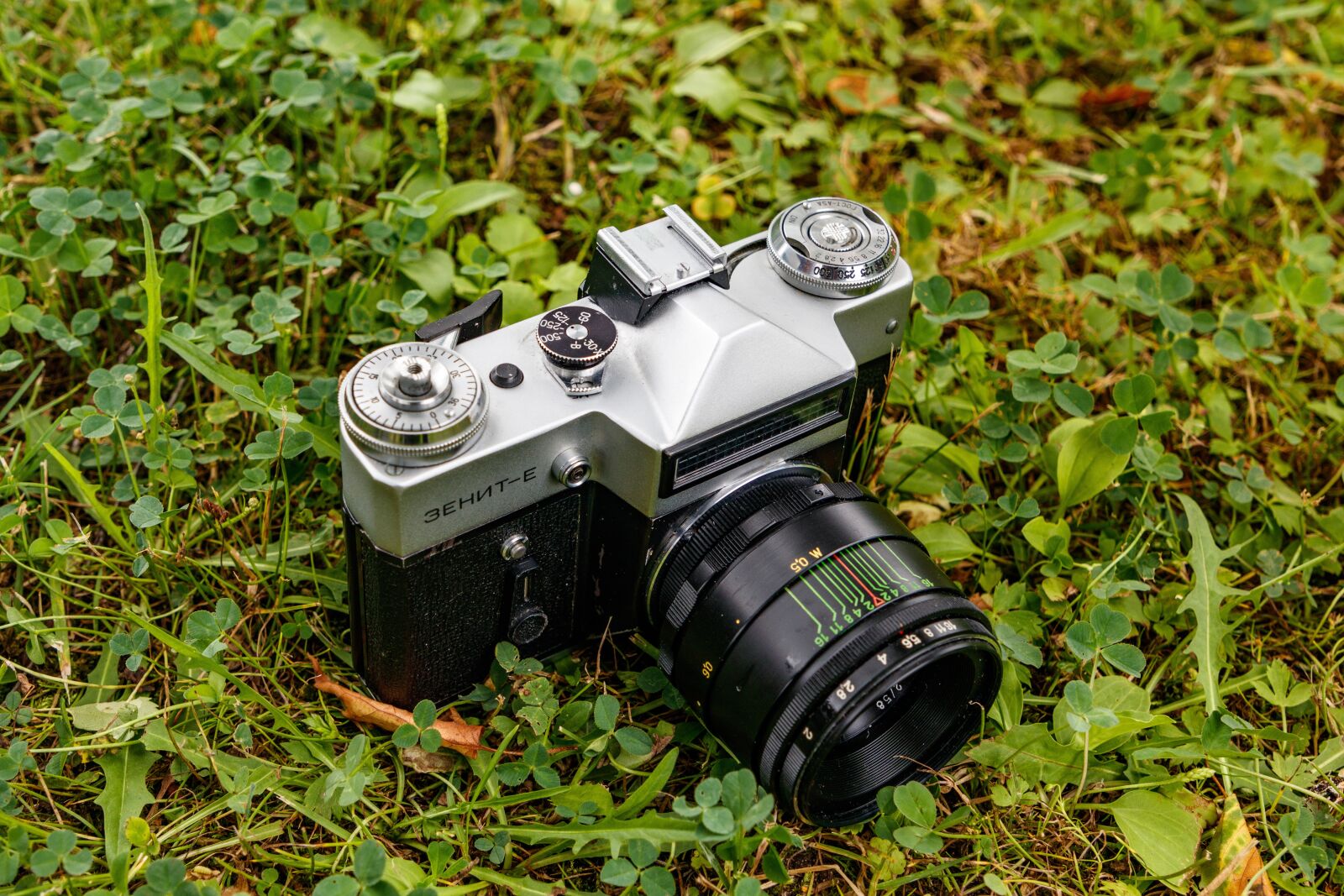 Canon EOS 80D sample photo. Slr camera, camera, zenith photography