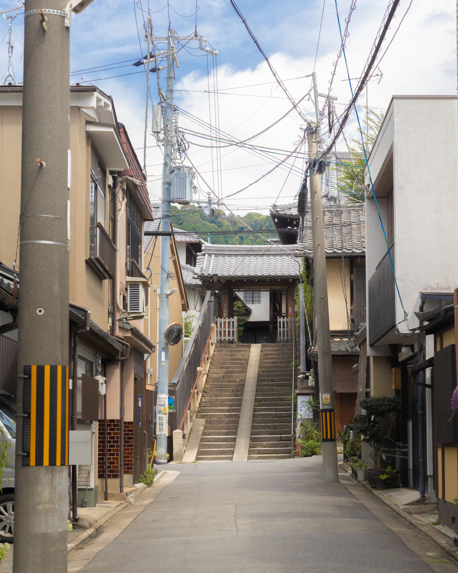 Canon EOS R sample photo