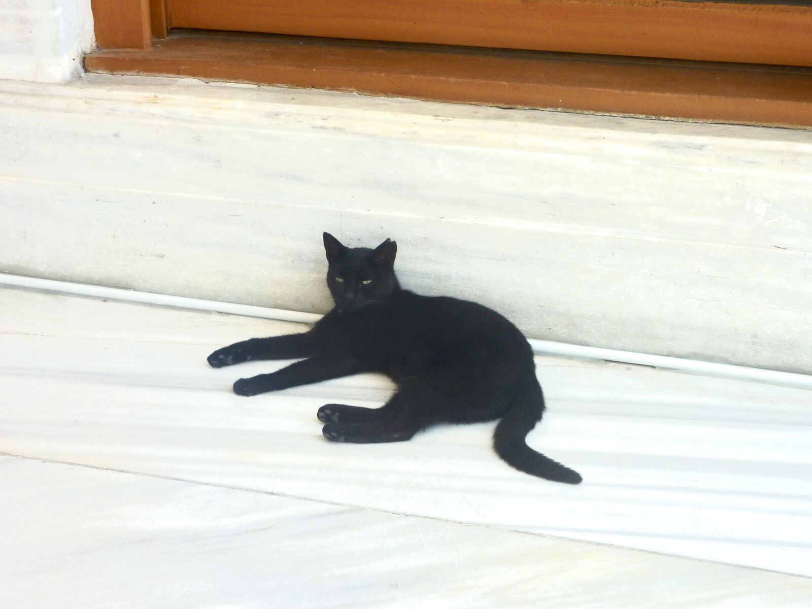 Panasonic DMC-TZ7 sample photo