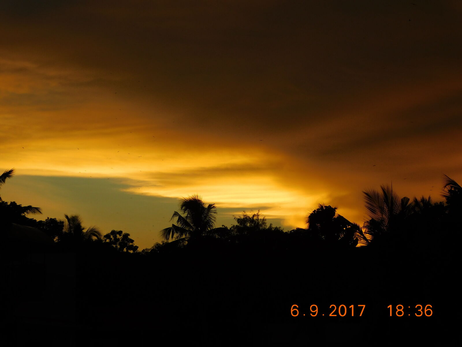 Nikon Coolpix B500 sample photo