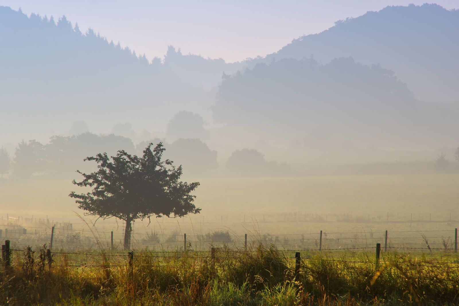 Canon EOS 60D sample photo. Nature, panorama, landscape photography
