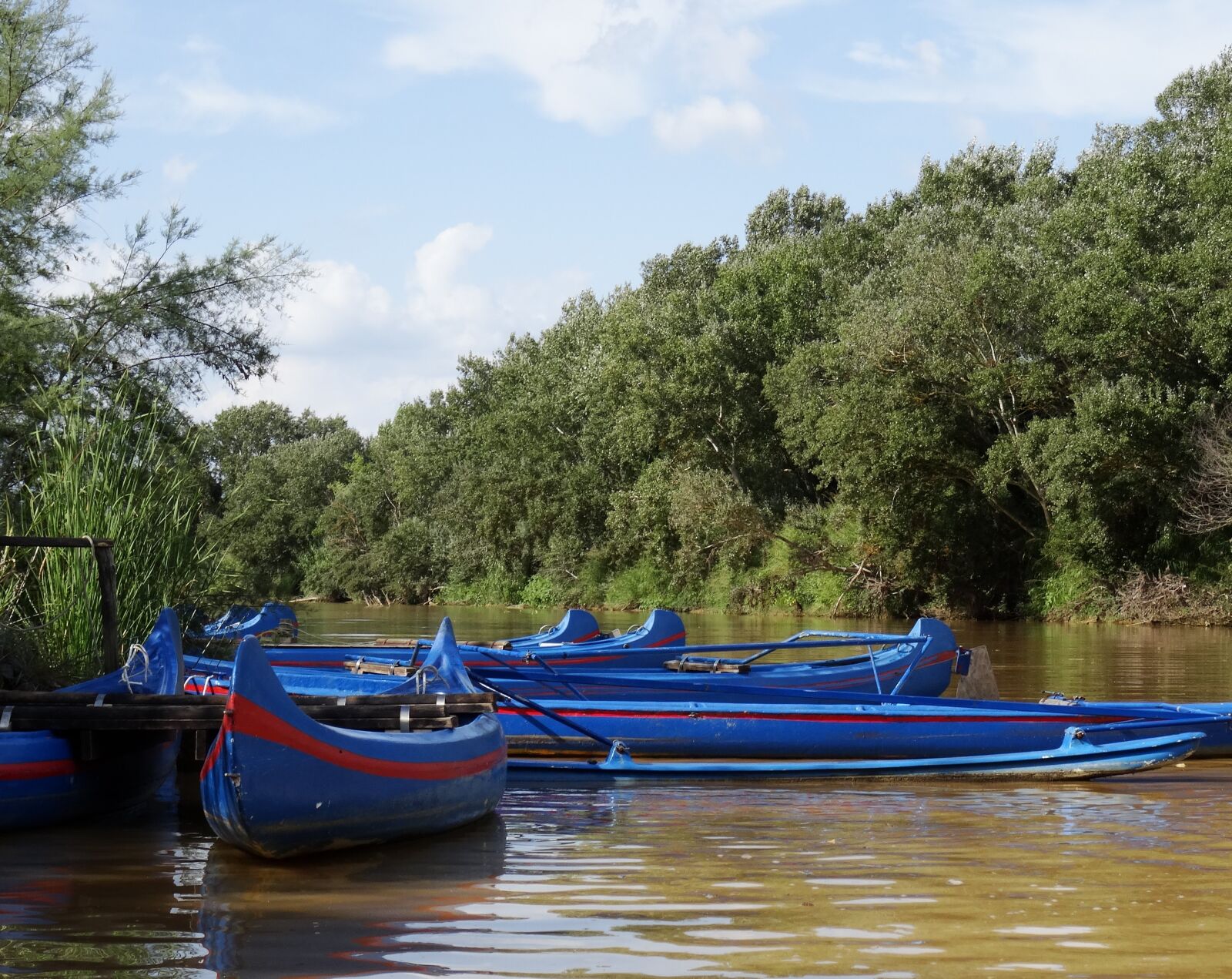 Sony DSC-HX50 sample photo. Canoeing, river, canoes photography